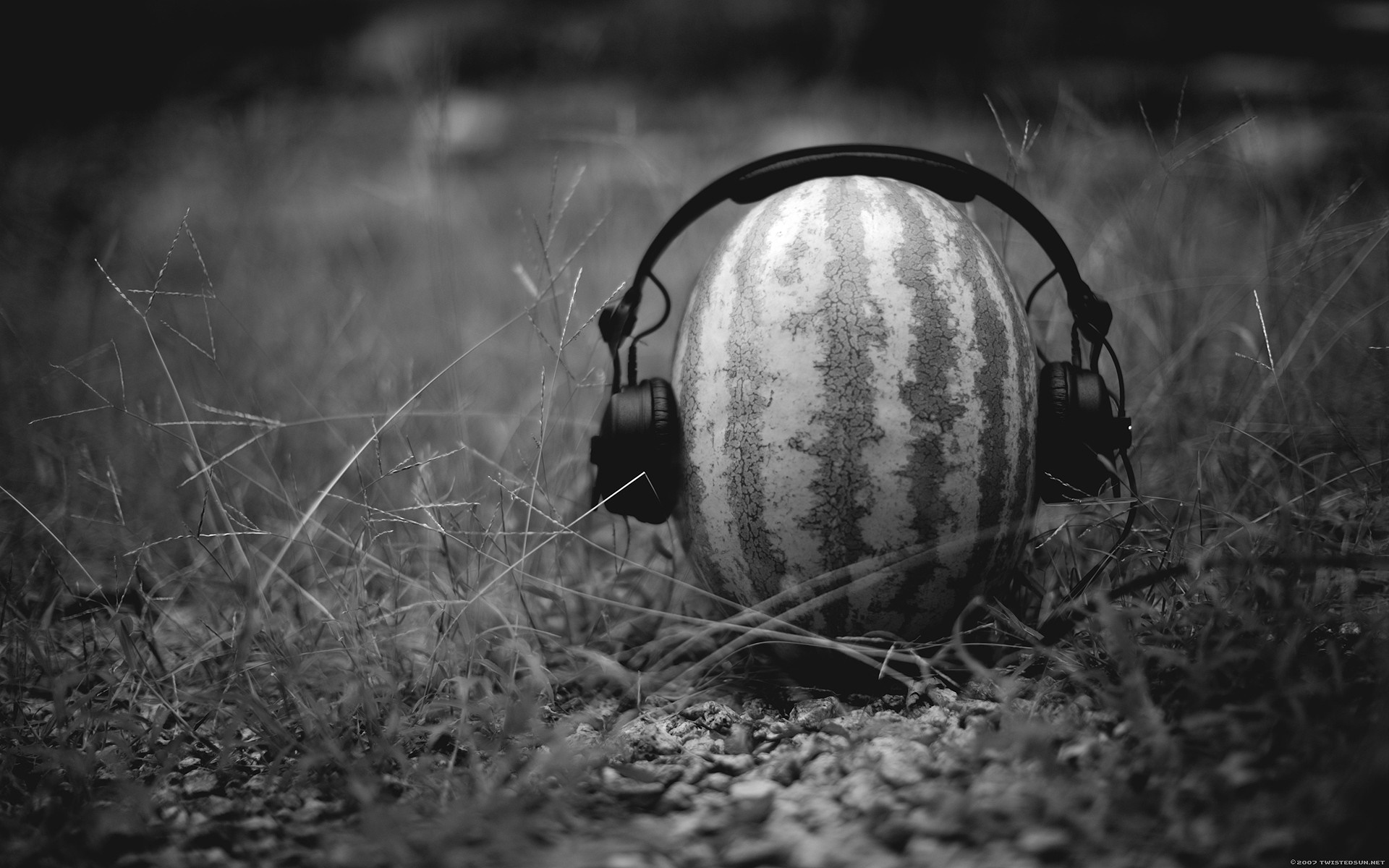 Watermelon with headphones on grass HD Wallpaper
