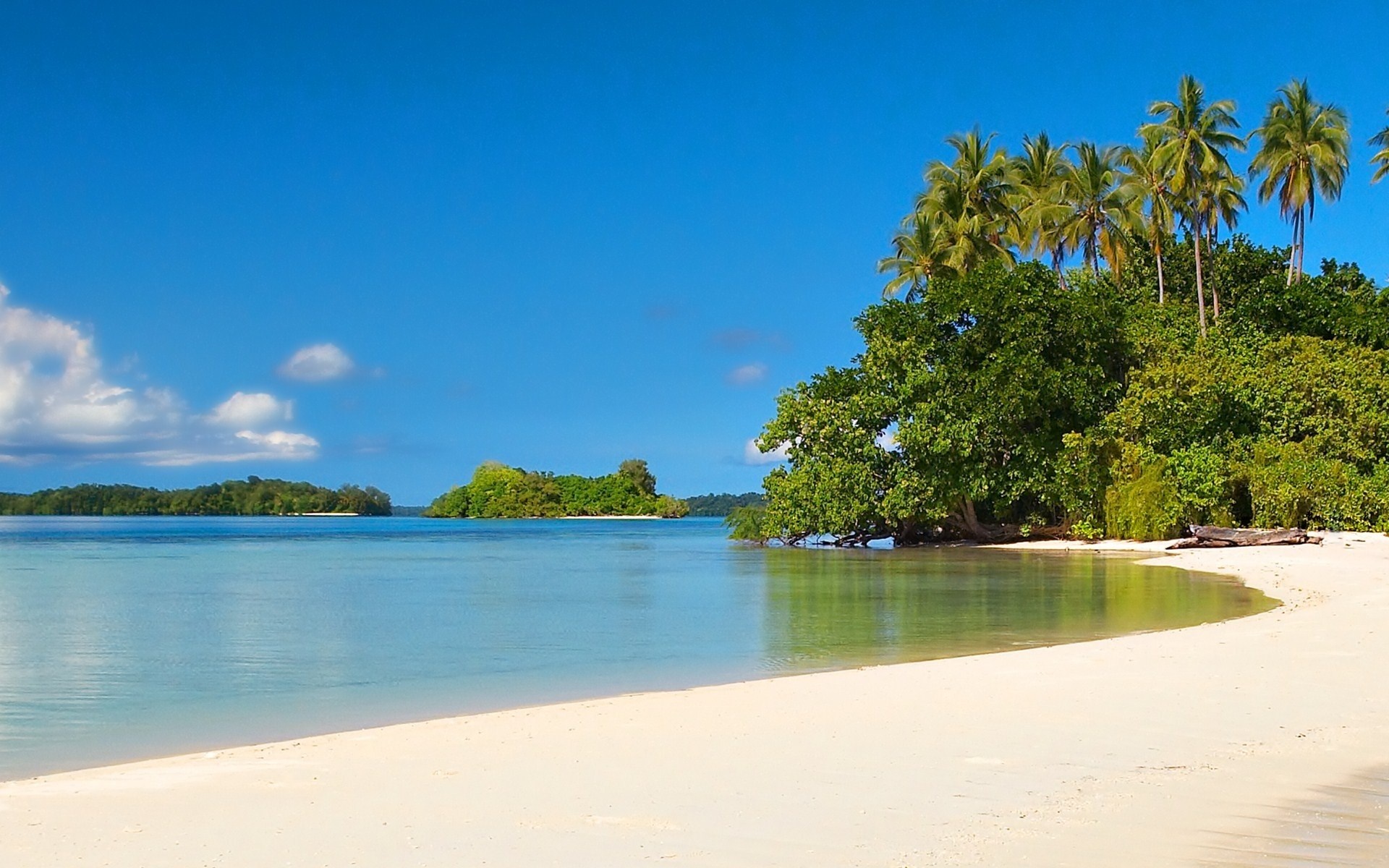 Tropical beach with palm trees and clear blue water HD Wallpaper