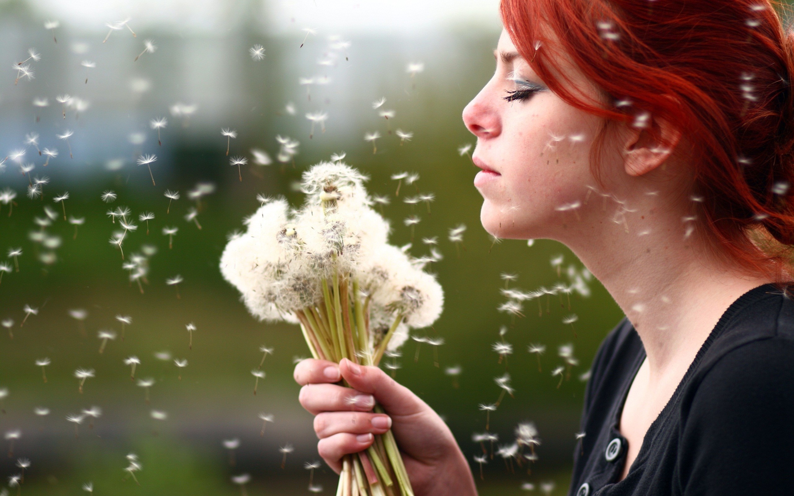 Woman blowing dandelion seeds HD Wallpaper