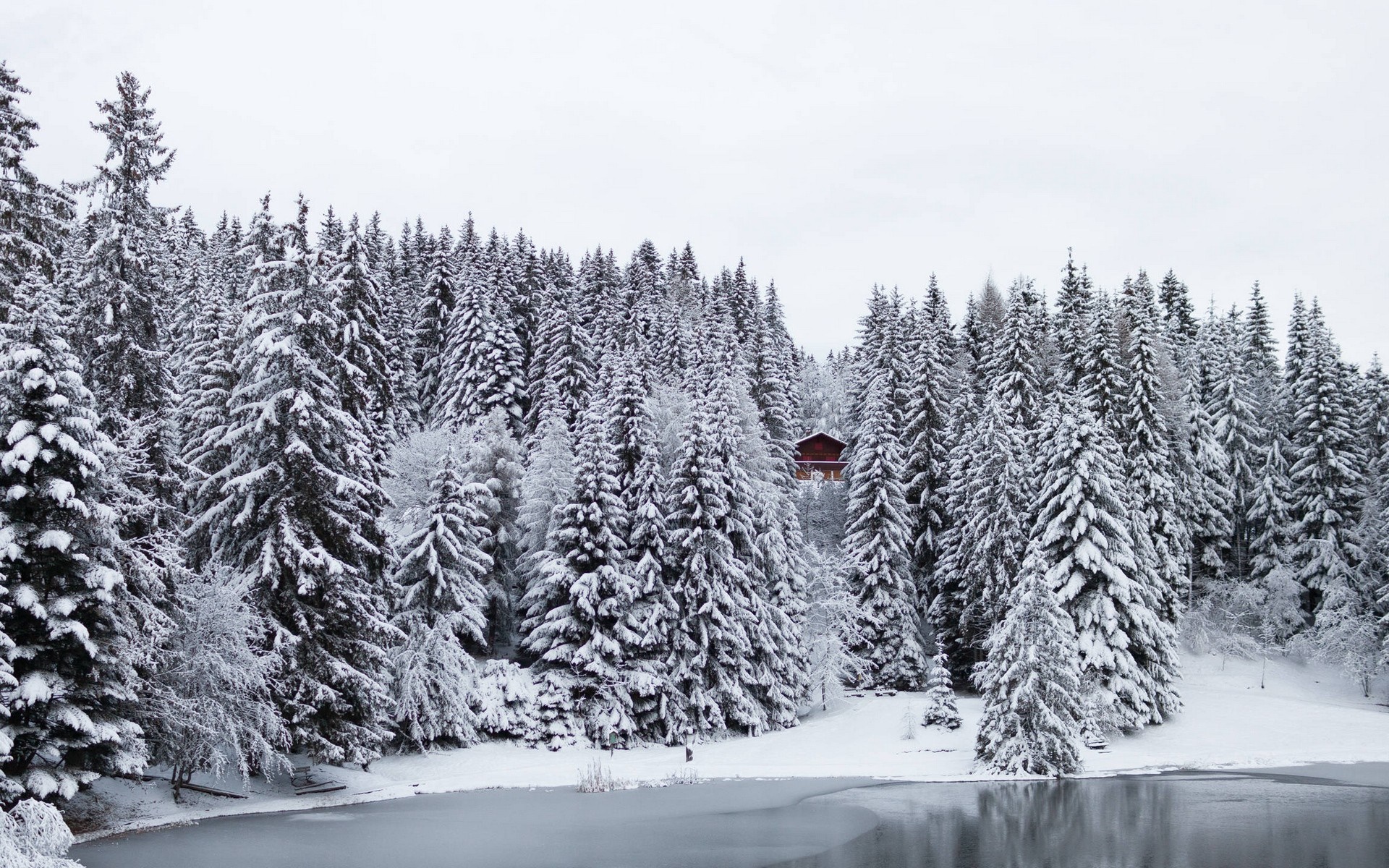 Snow-covered forest with a small cabin by a frozen lake HD Wallpaper