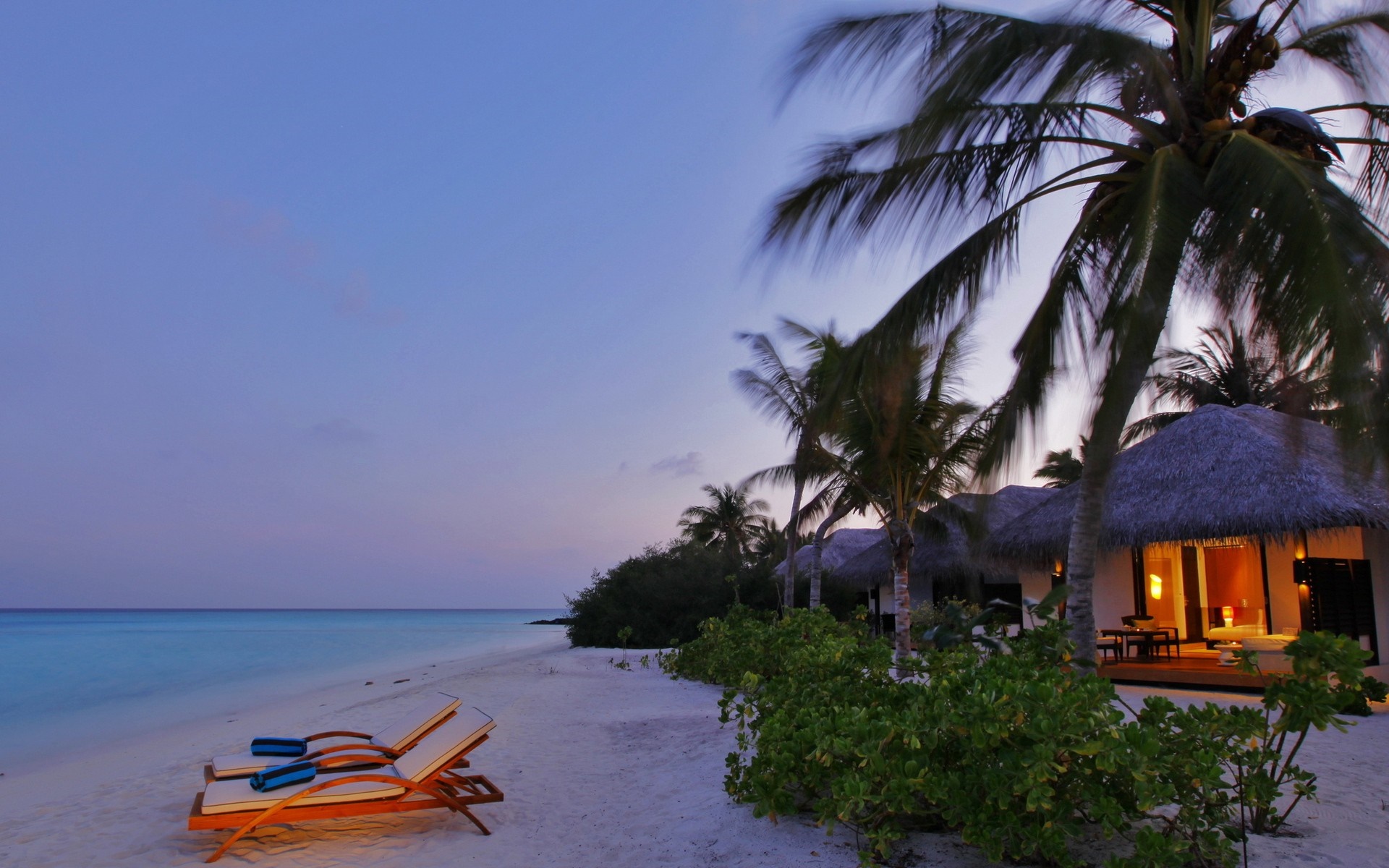 Tropical beach resort with palm trees and lounge chairs at dusk HD Wallpaper