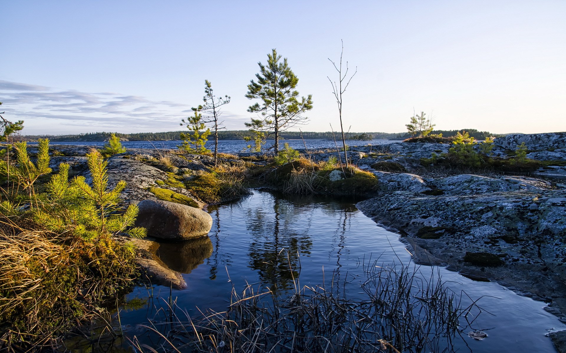 Rocky shore with small trees and a calm lake HD Wallpaper