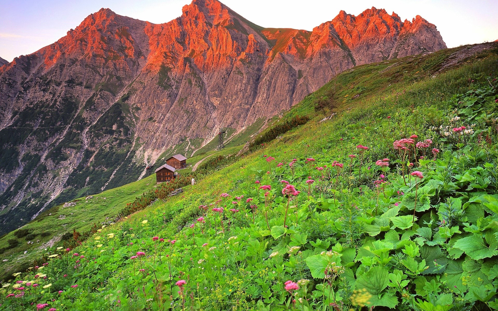 Mountain landscape with wooden huts and wildflowers HD Wallpaper