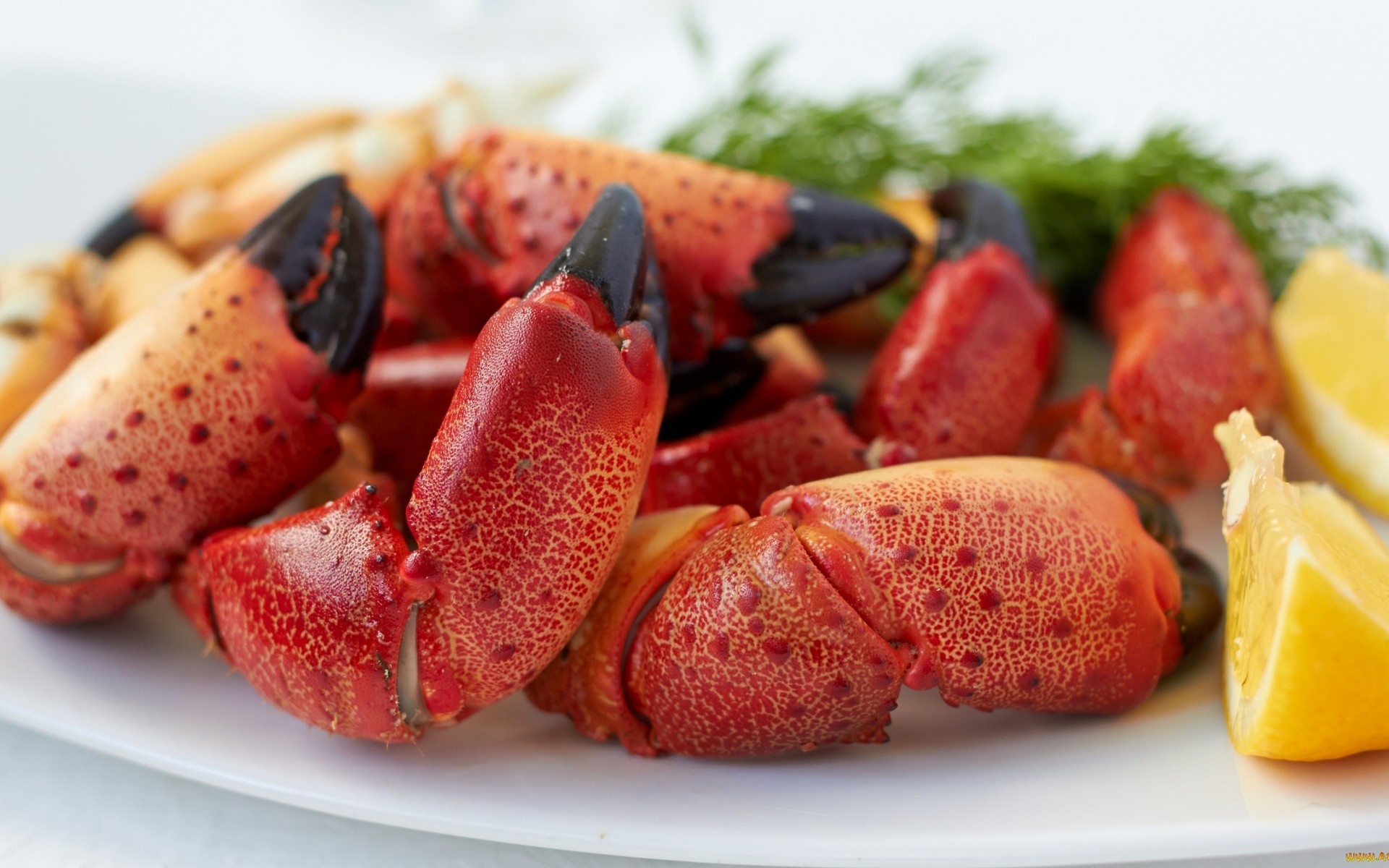 Plate of crab claws with lemon and dill HD Wallpaper