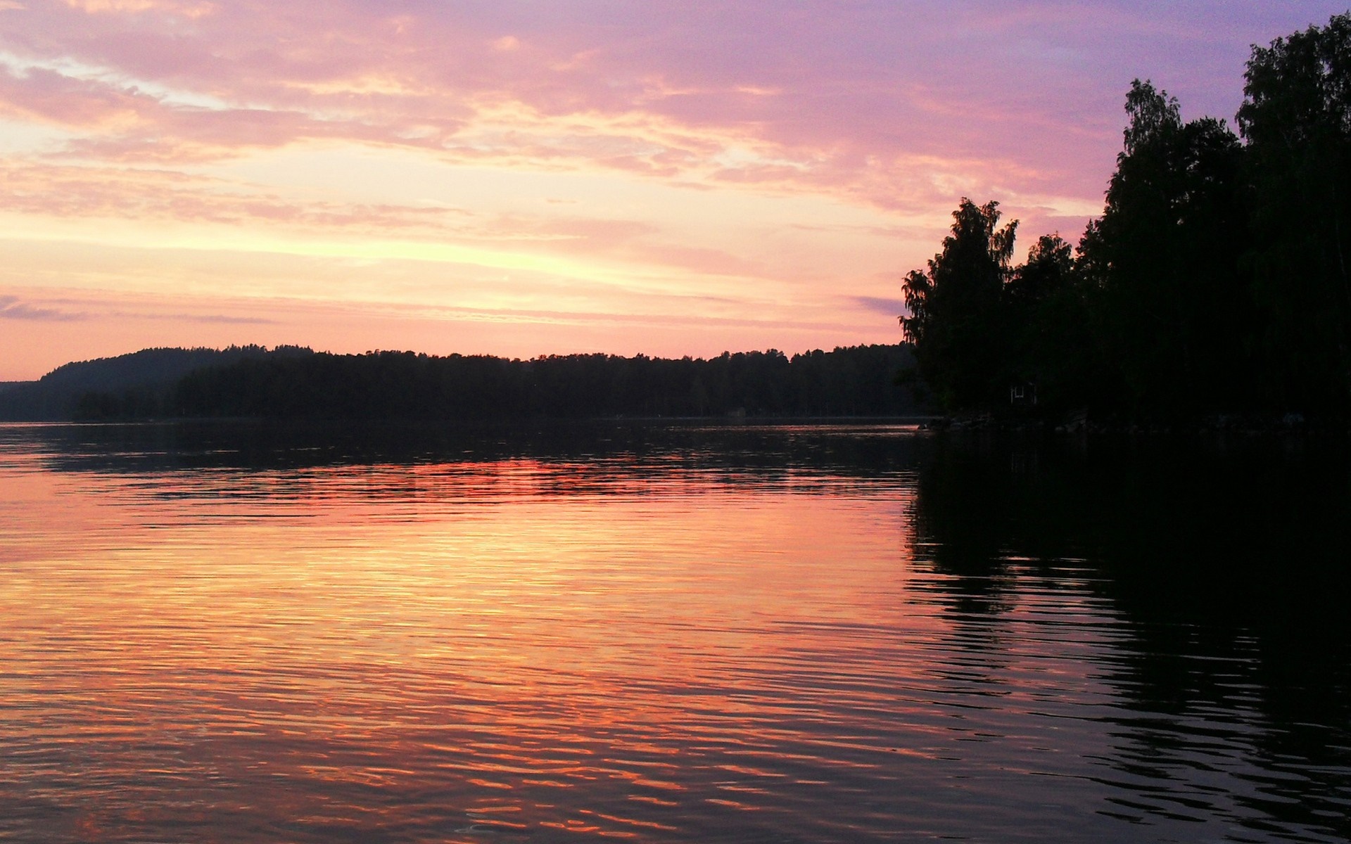Sunset over a calm lake with silhouetted trees HD Wallpaper