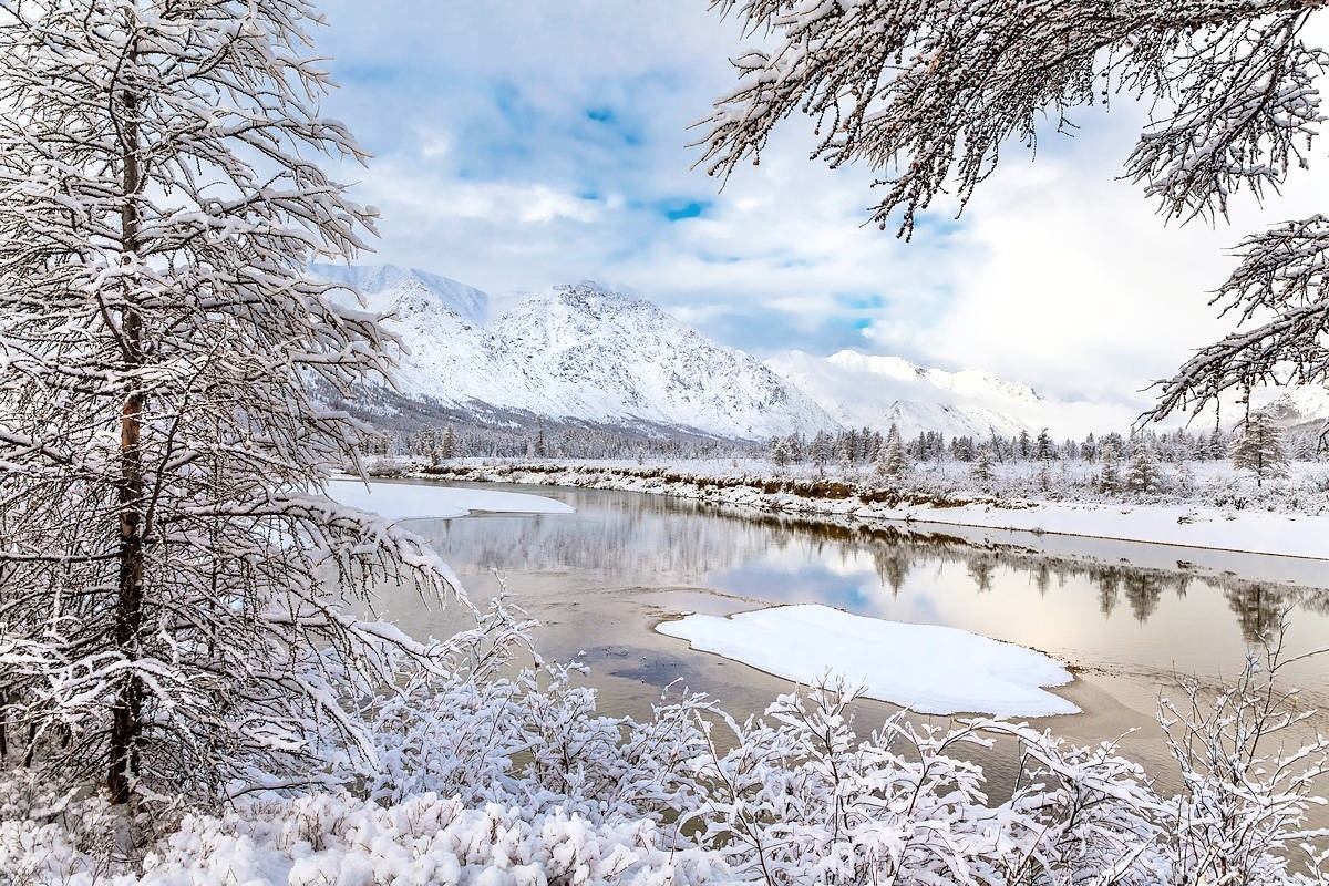 Snow-covered trees and river with mountains in the background HD Wallpaper
