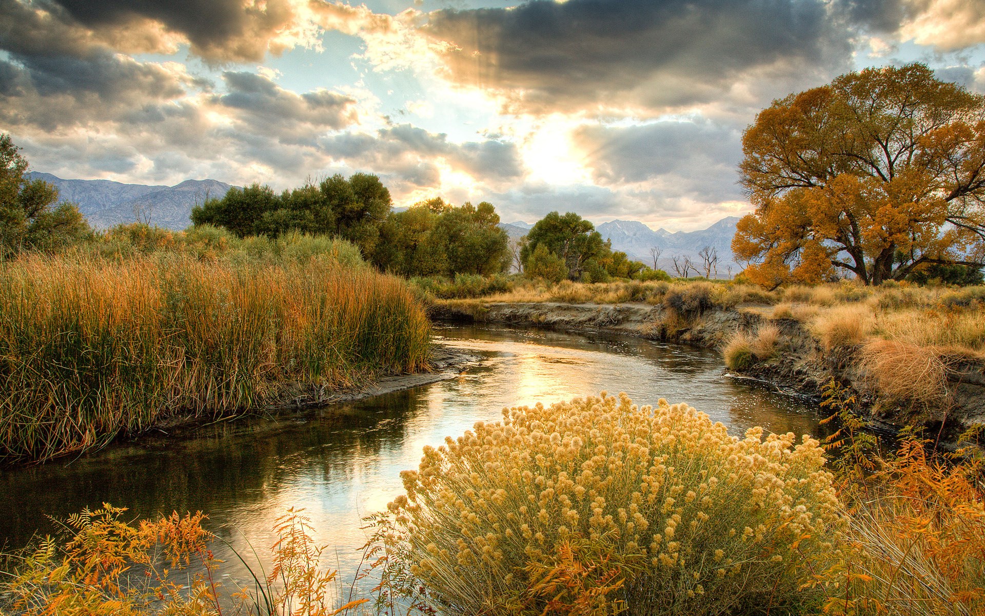 River flowing through a meadow with mountains in the background HD Wallpaper
