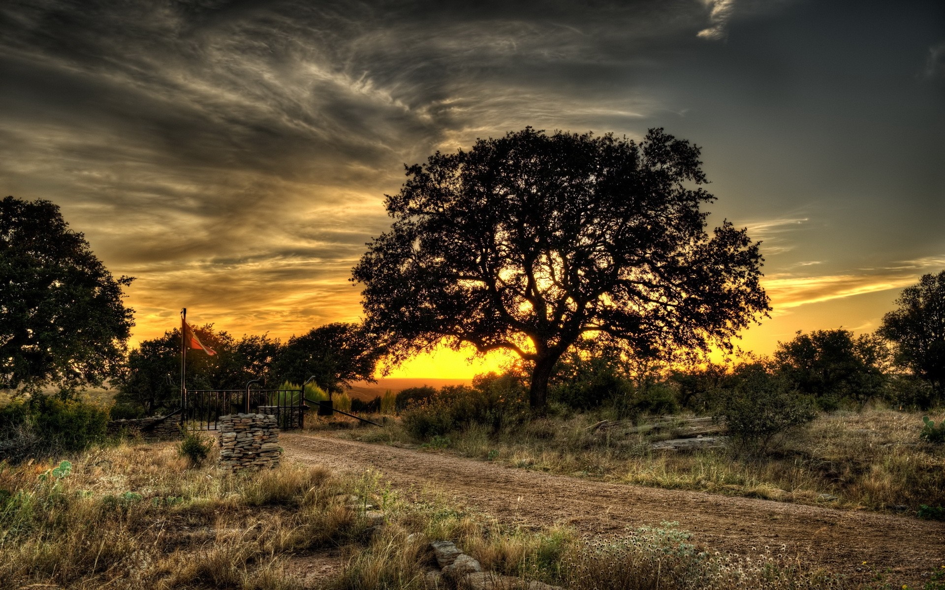 Sunset over a rural landscape with a large tree HD Wallpaper