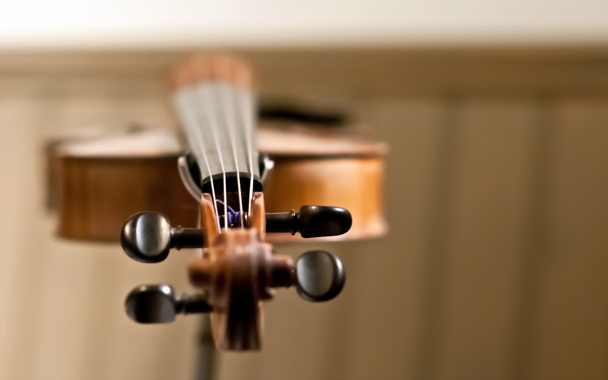 Close-up of a violin's scroll and tuning pegs HD Wallpaper