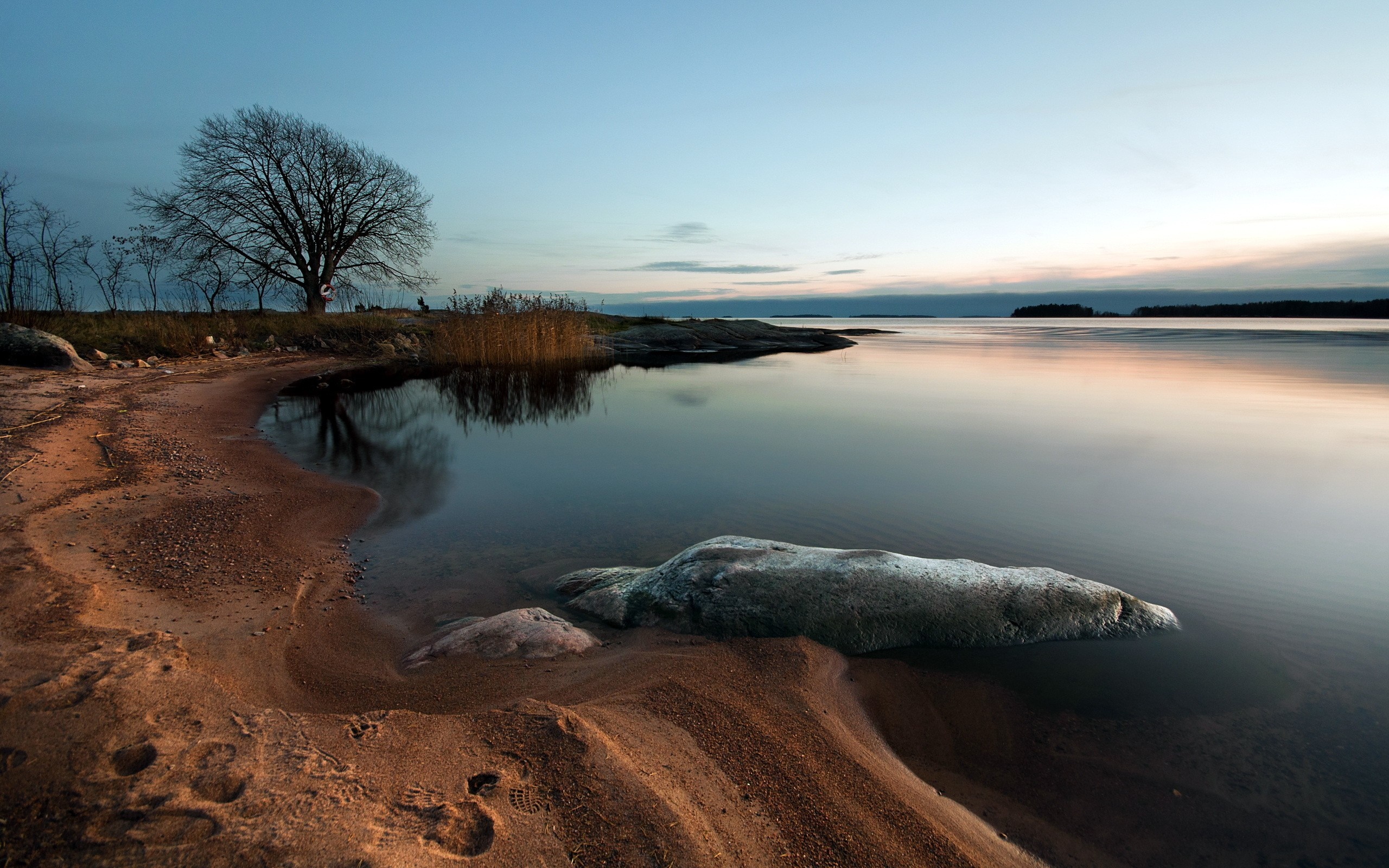 Bare tree on sandy shore reflecting in calm water at dusk HD Wallpaper
