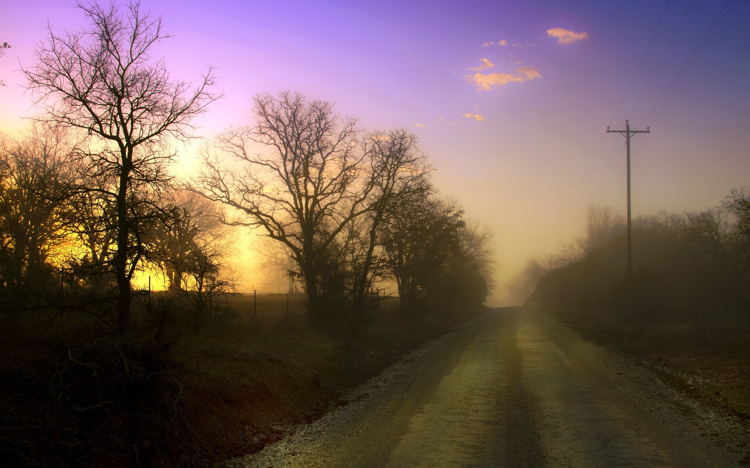 Rural road at sunrise with trees and fog HD Wallpaper