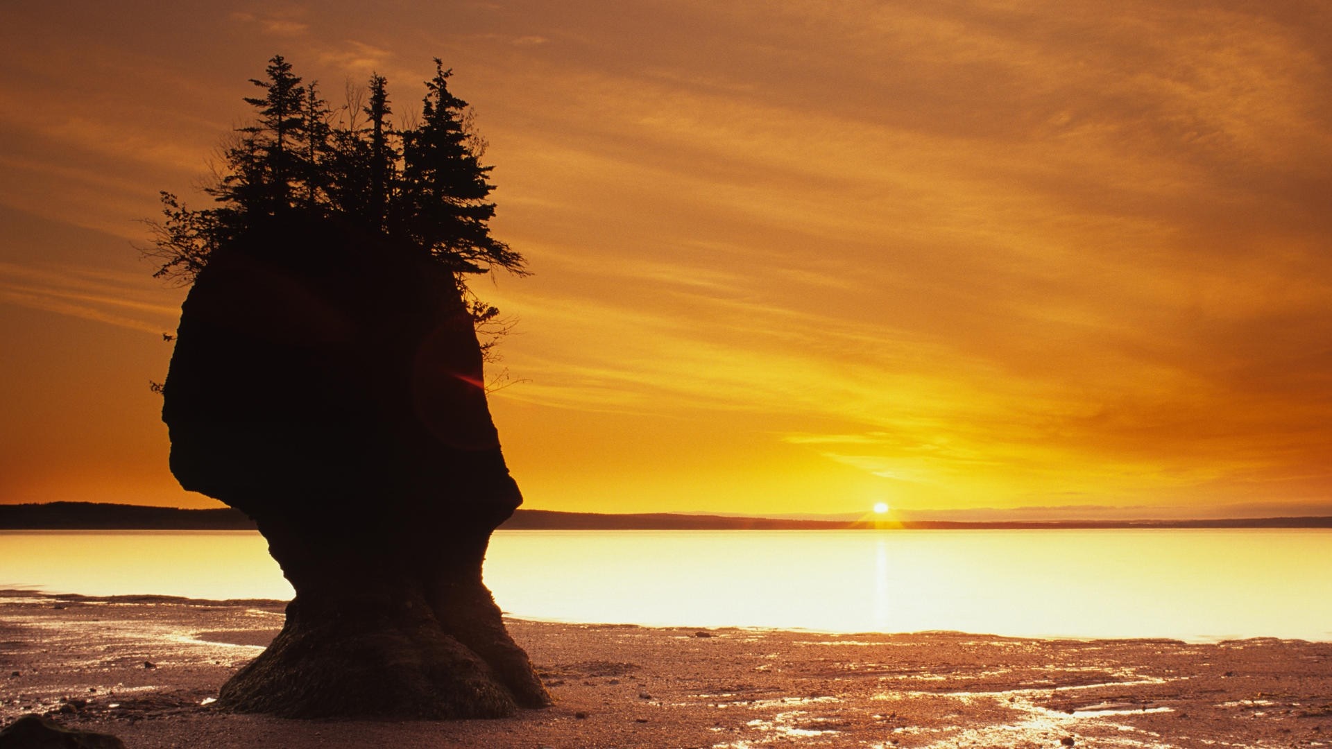 Hopewell Rocks at sunset with ocean and sky HD Wallpaper