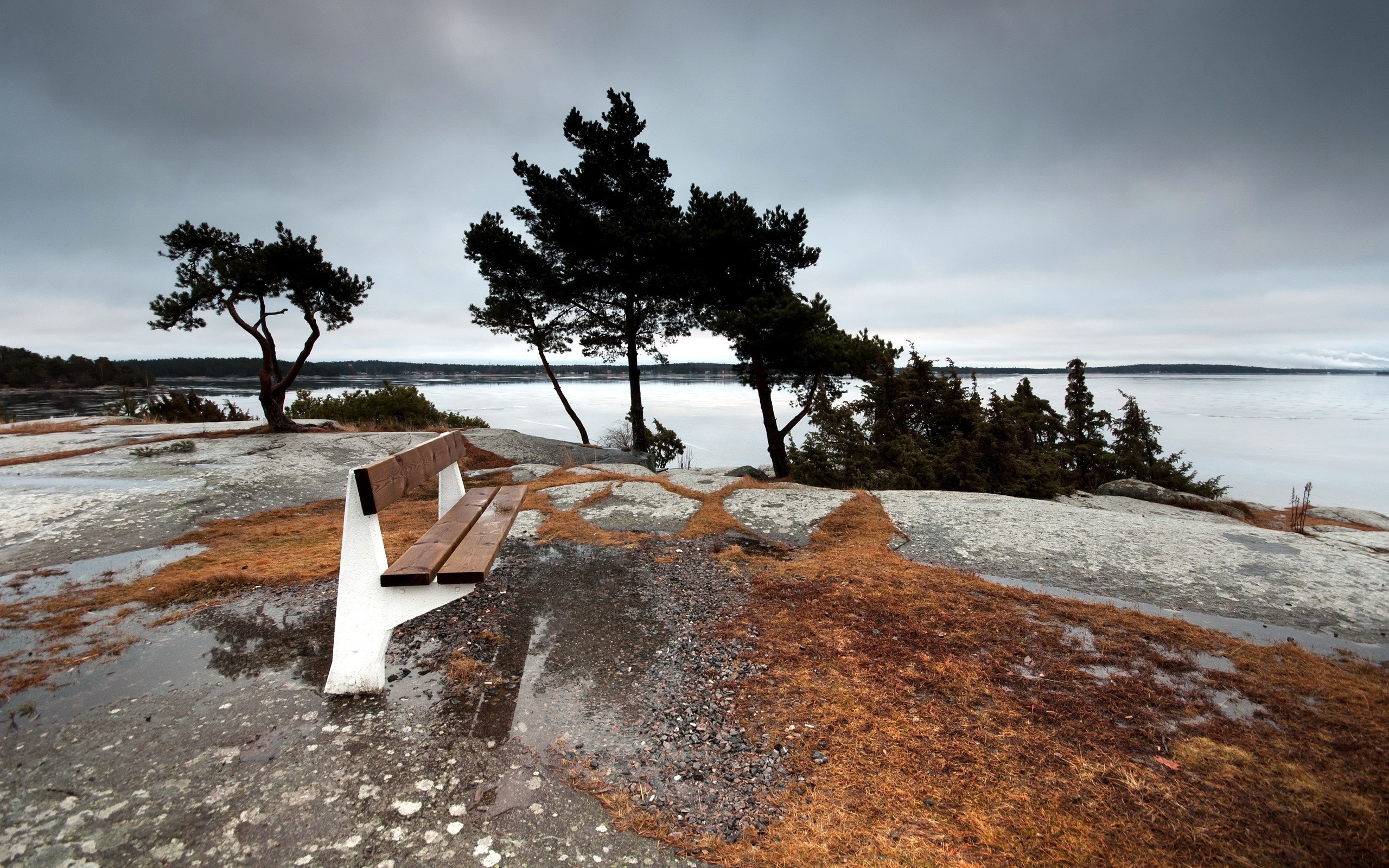Bench on a rocky shore with trees and a cloudy sky HD Wallpaper