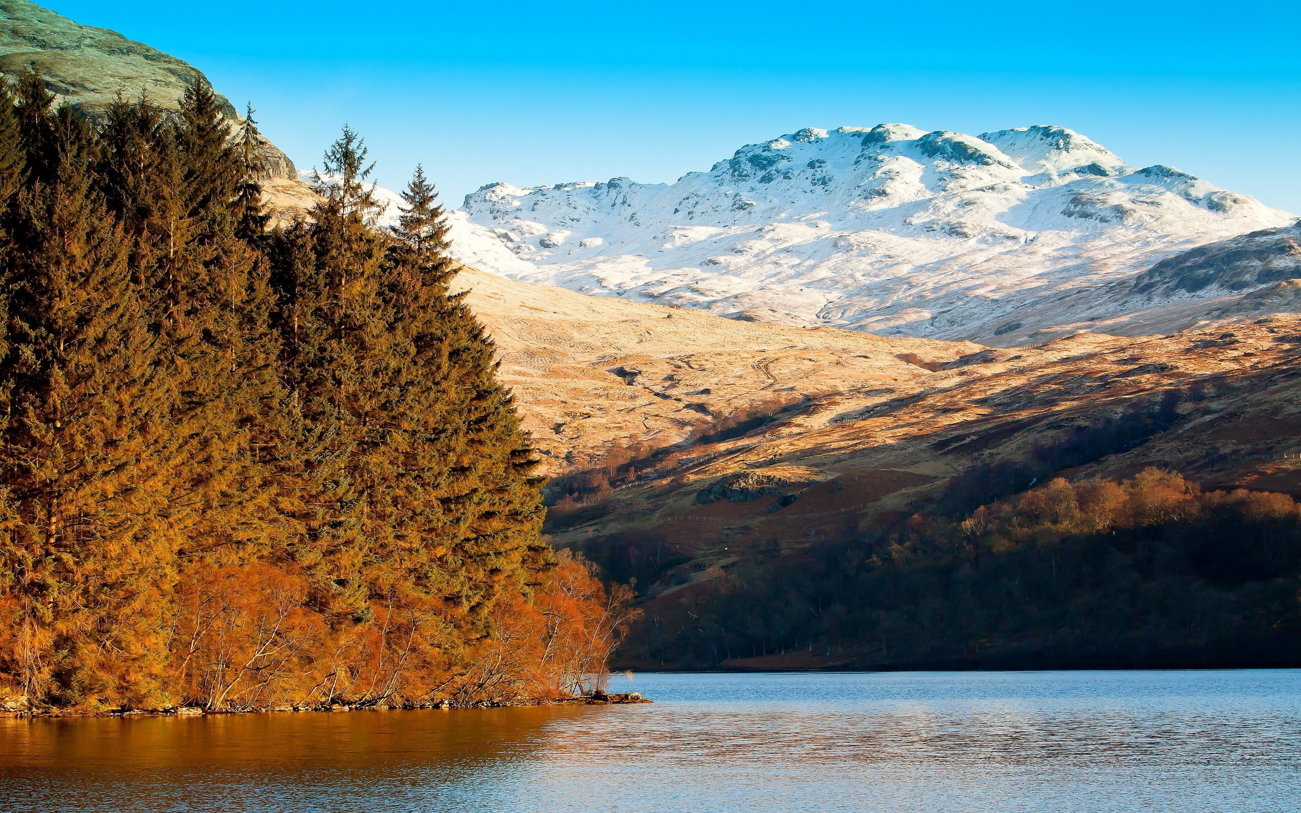 Lake and snow-capped mountains with pine forest HD Wallpaper