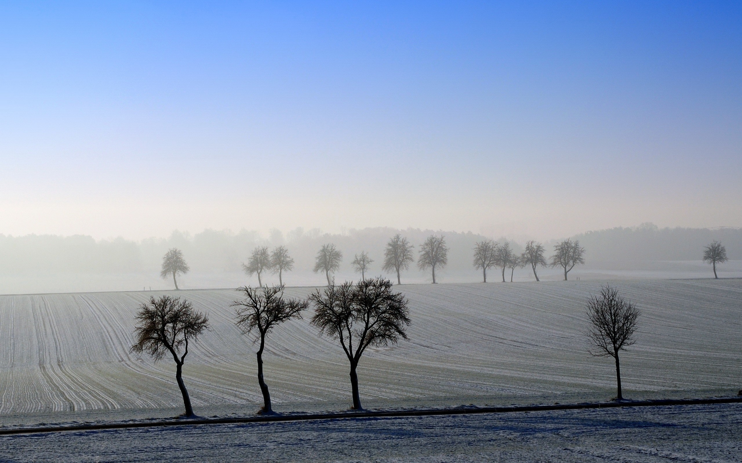 Winter landscape with trees in the mist HD Wallpaper