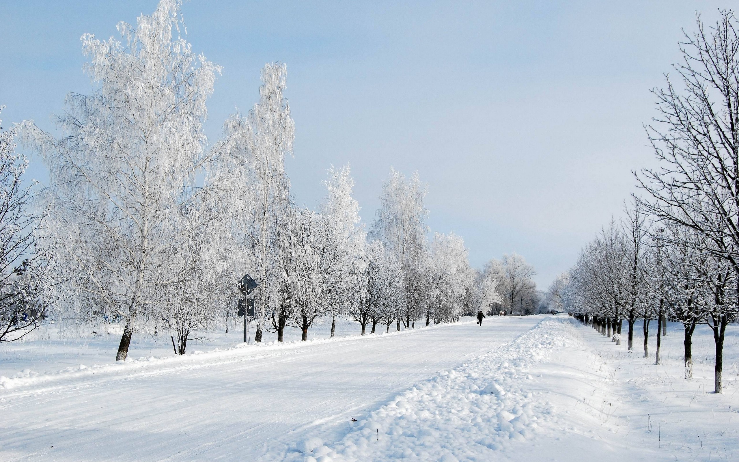 A person walks down a snow-covered road lined with frosted trees HD Wallpaper