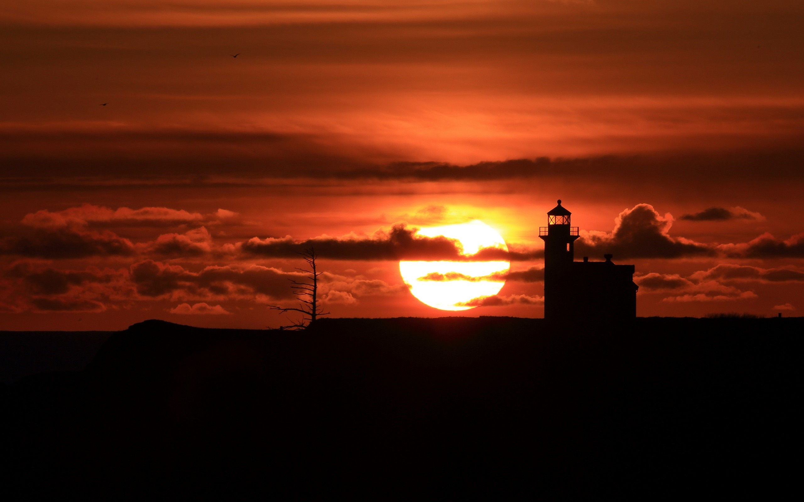 Silhouette of a lighthouse and a dead tree against a vibrant sunset. HD Wallpaper