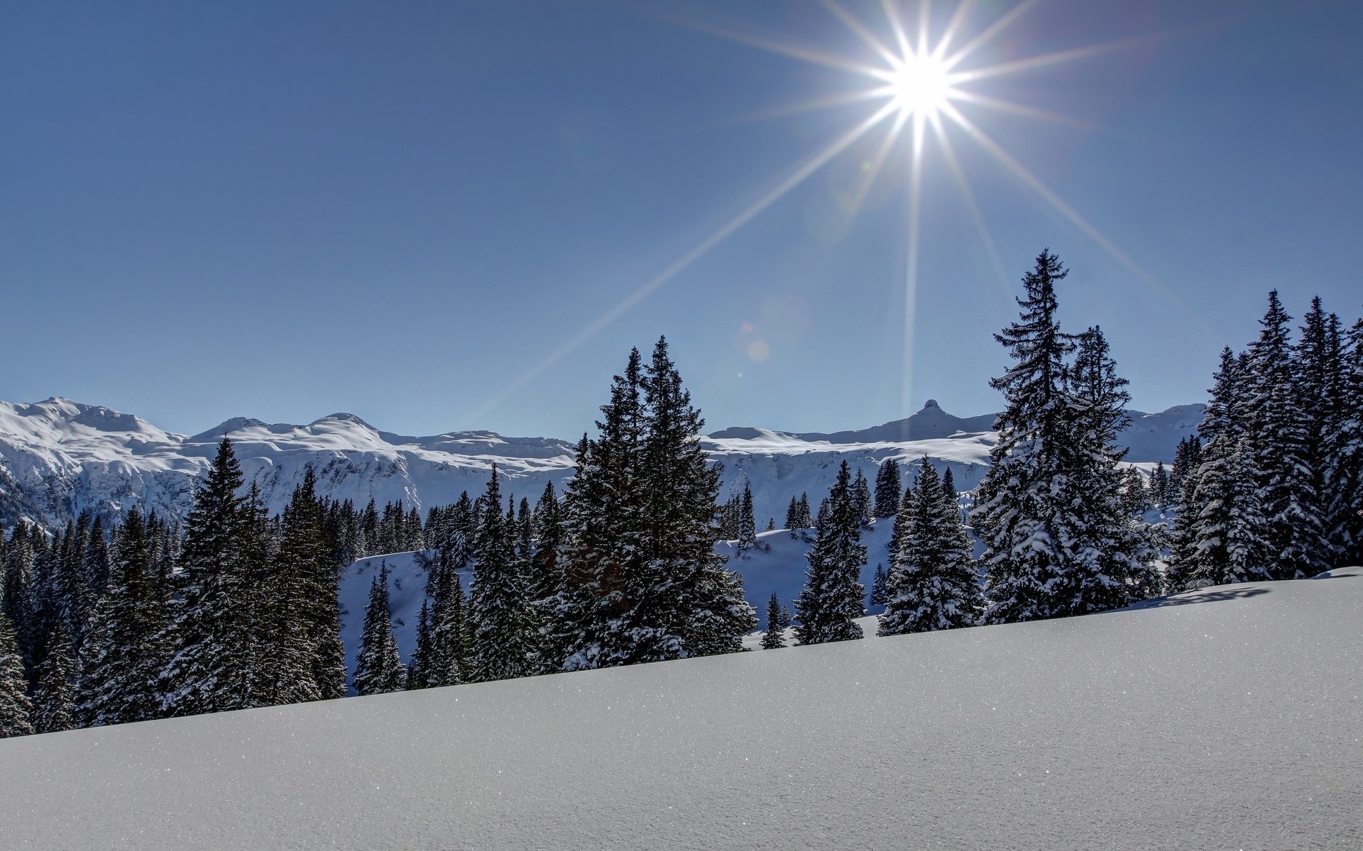 Snowy mountain landscape with sun and pine trees HD Wallpaper