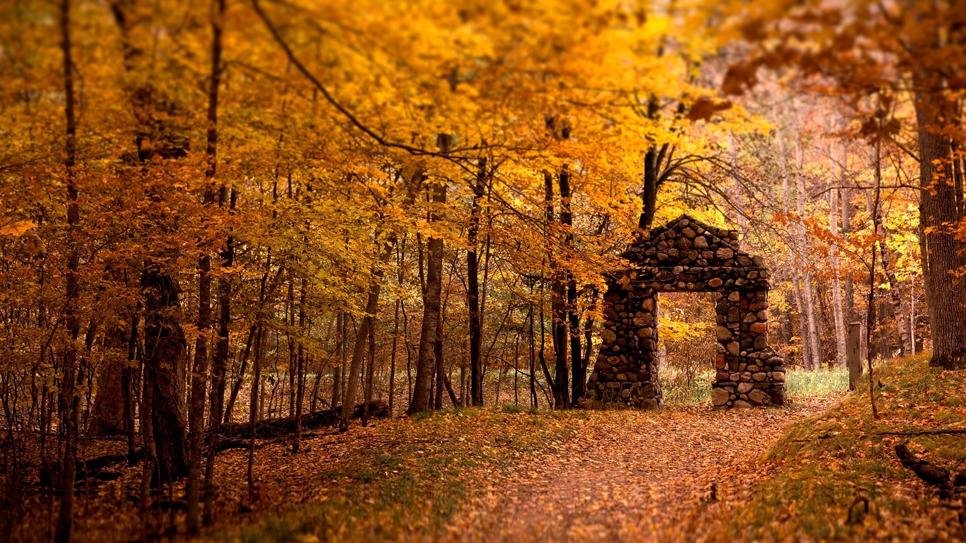 Stone archway in an autumn forest with fallen leaves HD Wallpaper