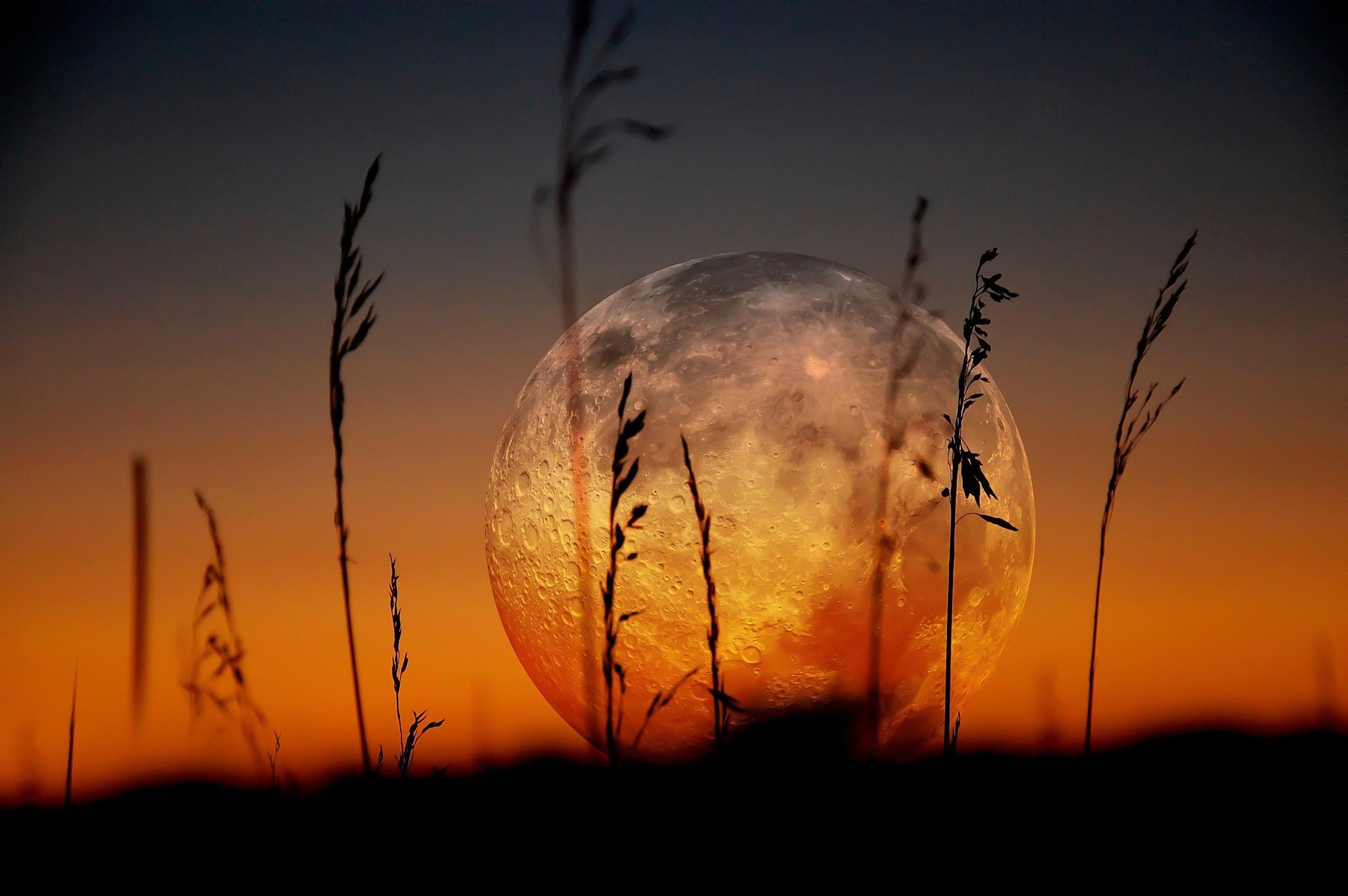 Moon rising over a field at sunset HD Wallpaper