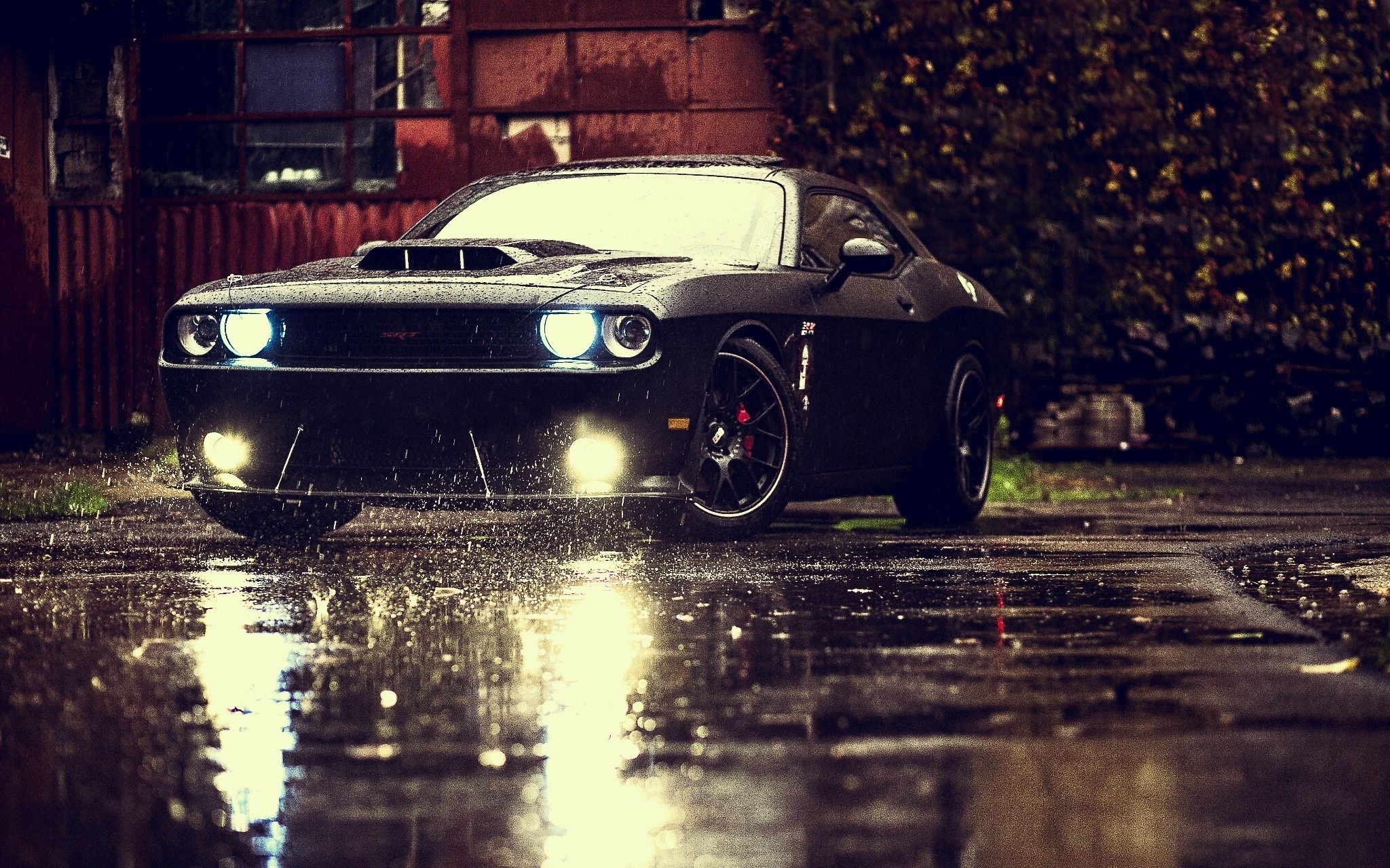Black Dodge Challenger SRT Hellcat on wet asphalt HD Wallpaper