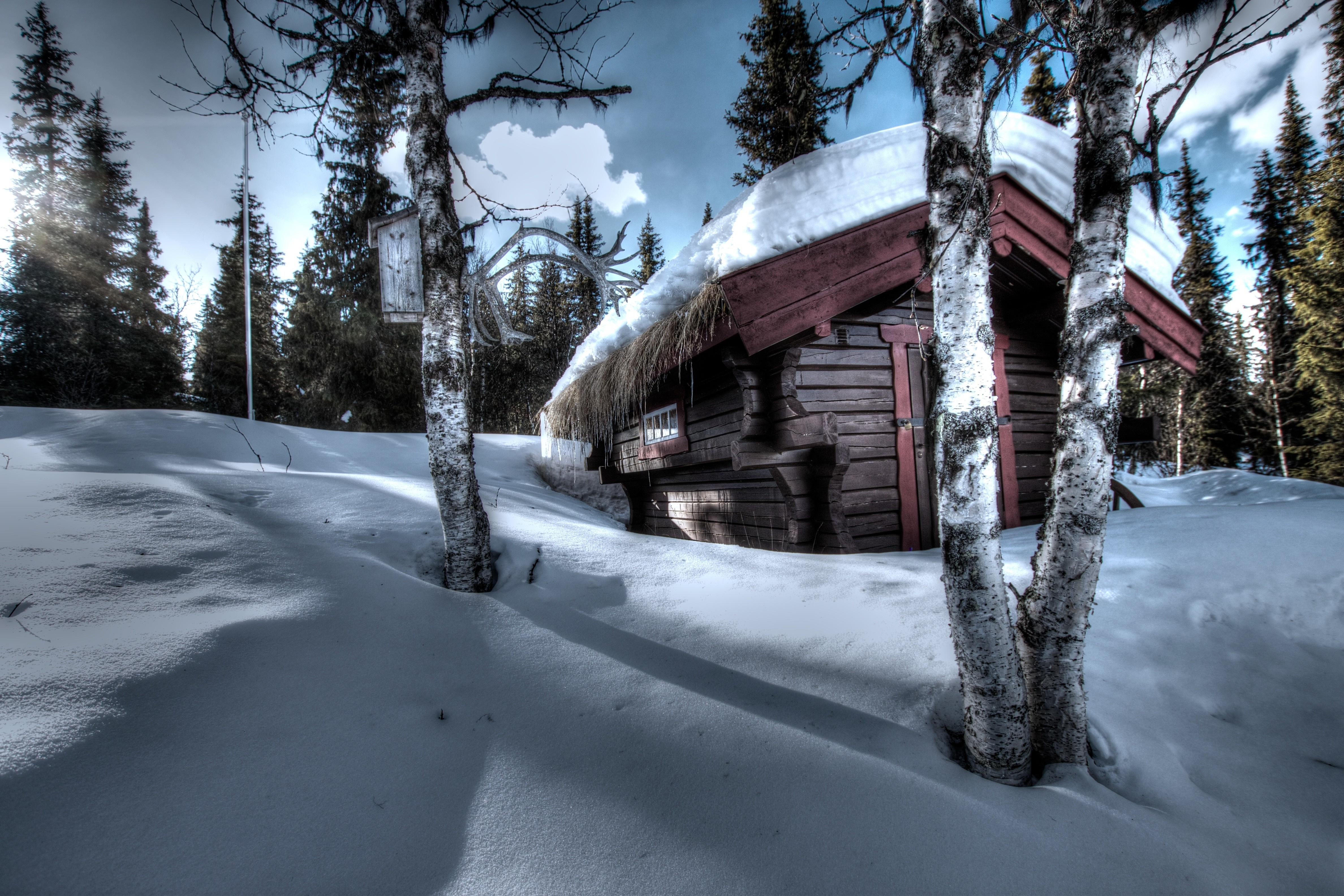 Snowy cabin in a winter forest HD Wallpaper
