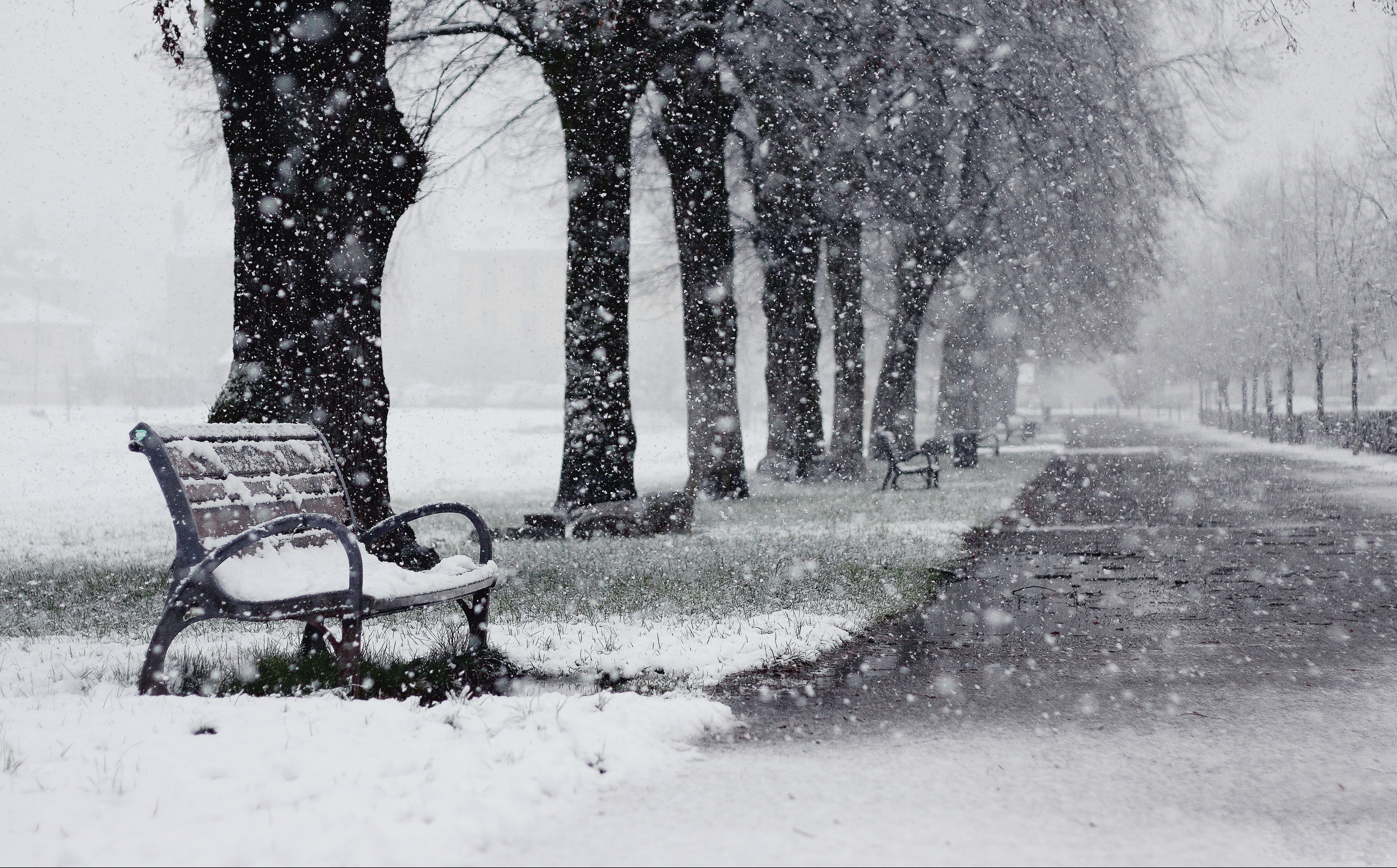Park bench in a snowy park with trees HD Wallpaper
