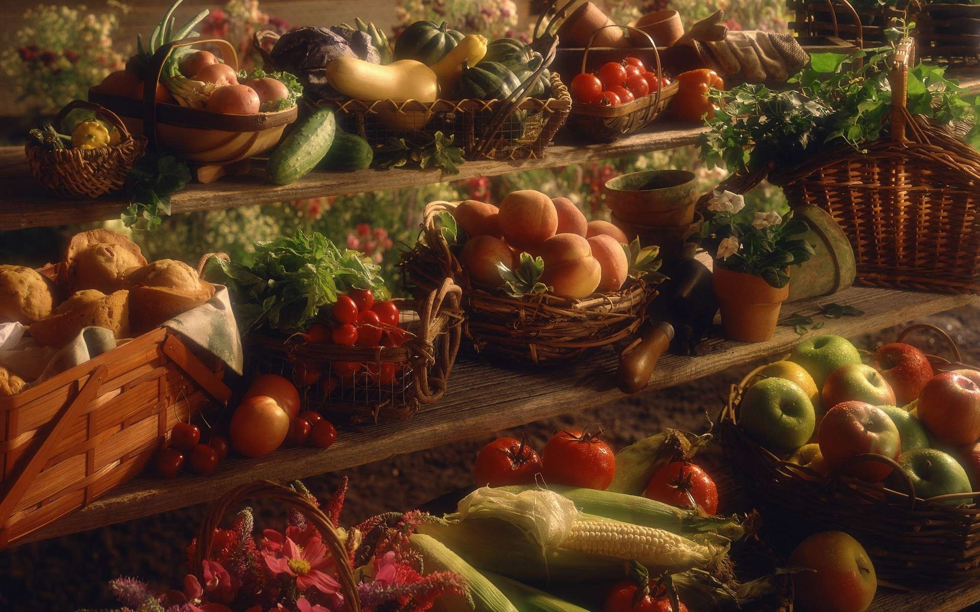 Still life painting of a harvest bounty HD Wallpaper