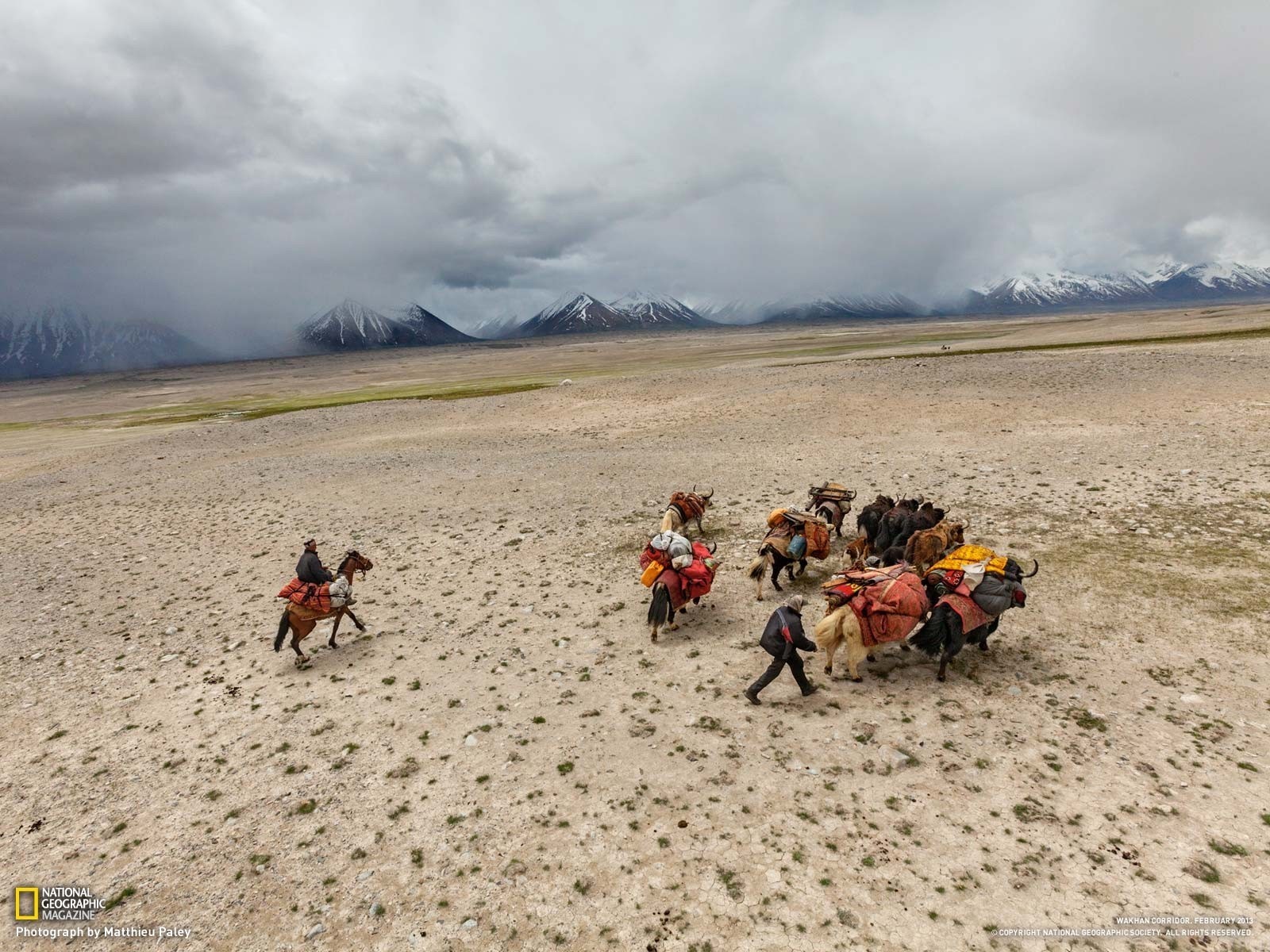 People and yaks on a rocky plateau with mountains HD Wallpaper