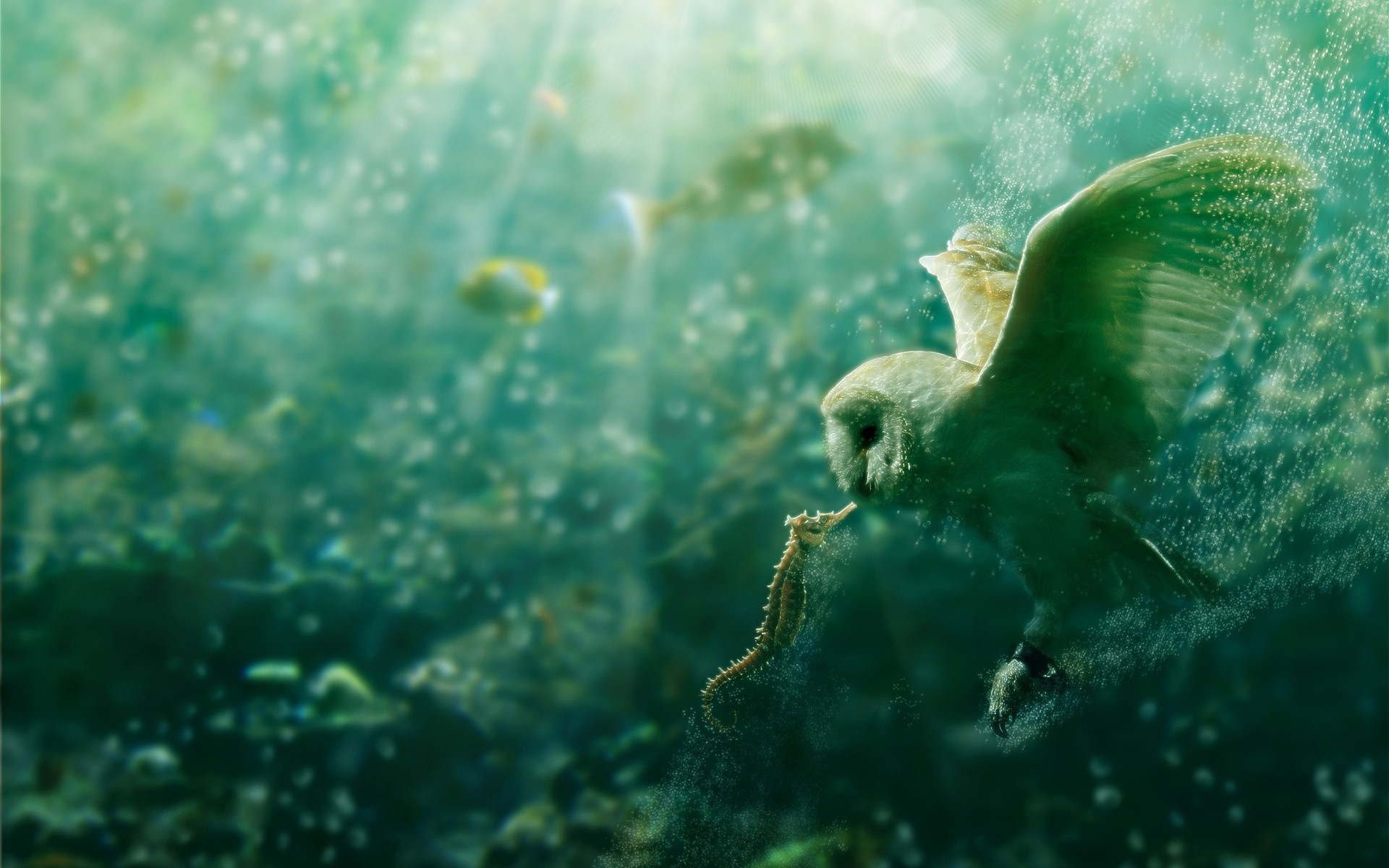 Owl underwater with seahorse HD Wallpaper