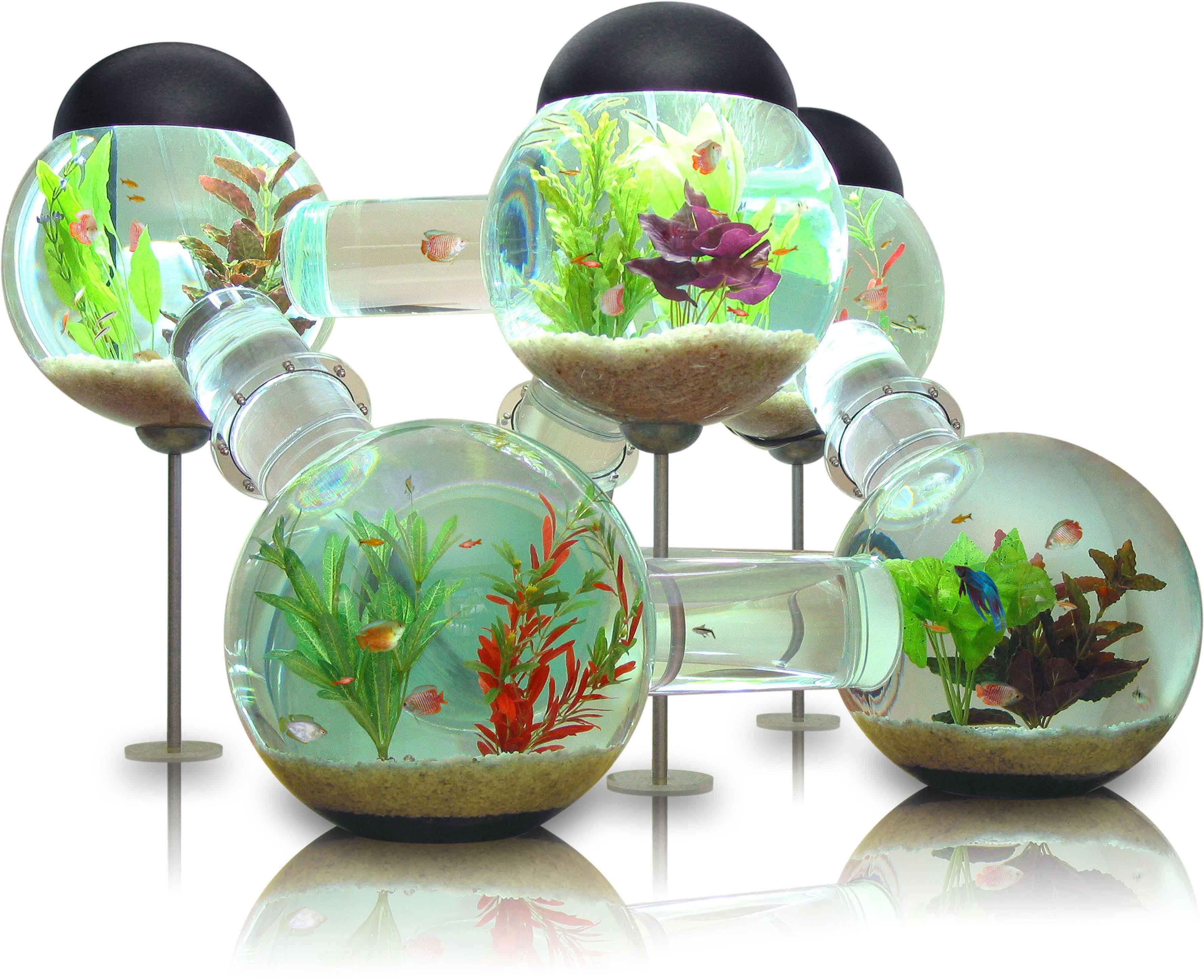 Modular spherical aquariums with connecting tubes HD Wallpaper