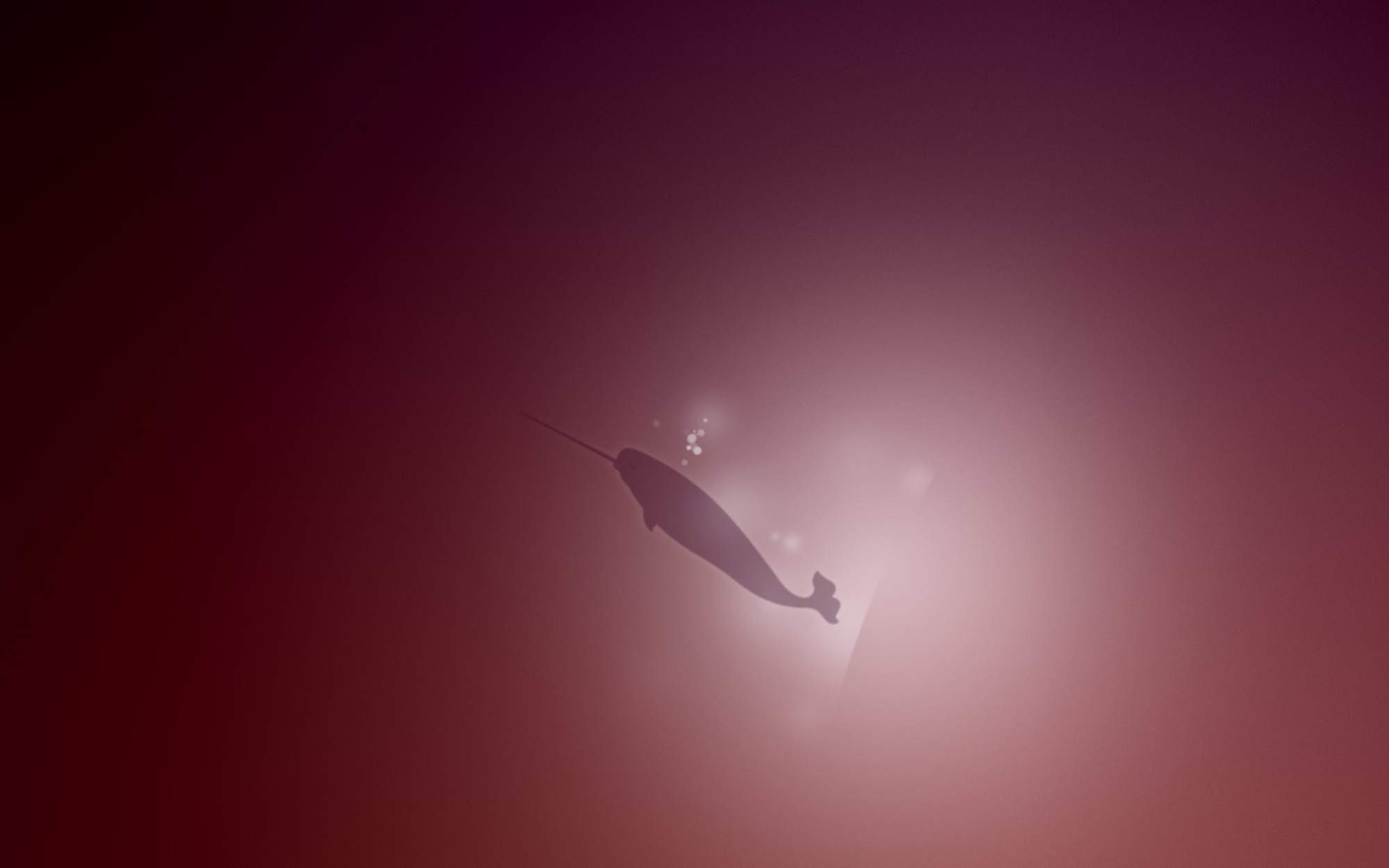 Silhouette of a narwhal swimming underwater HD Wallpaper