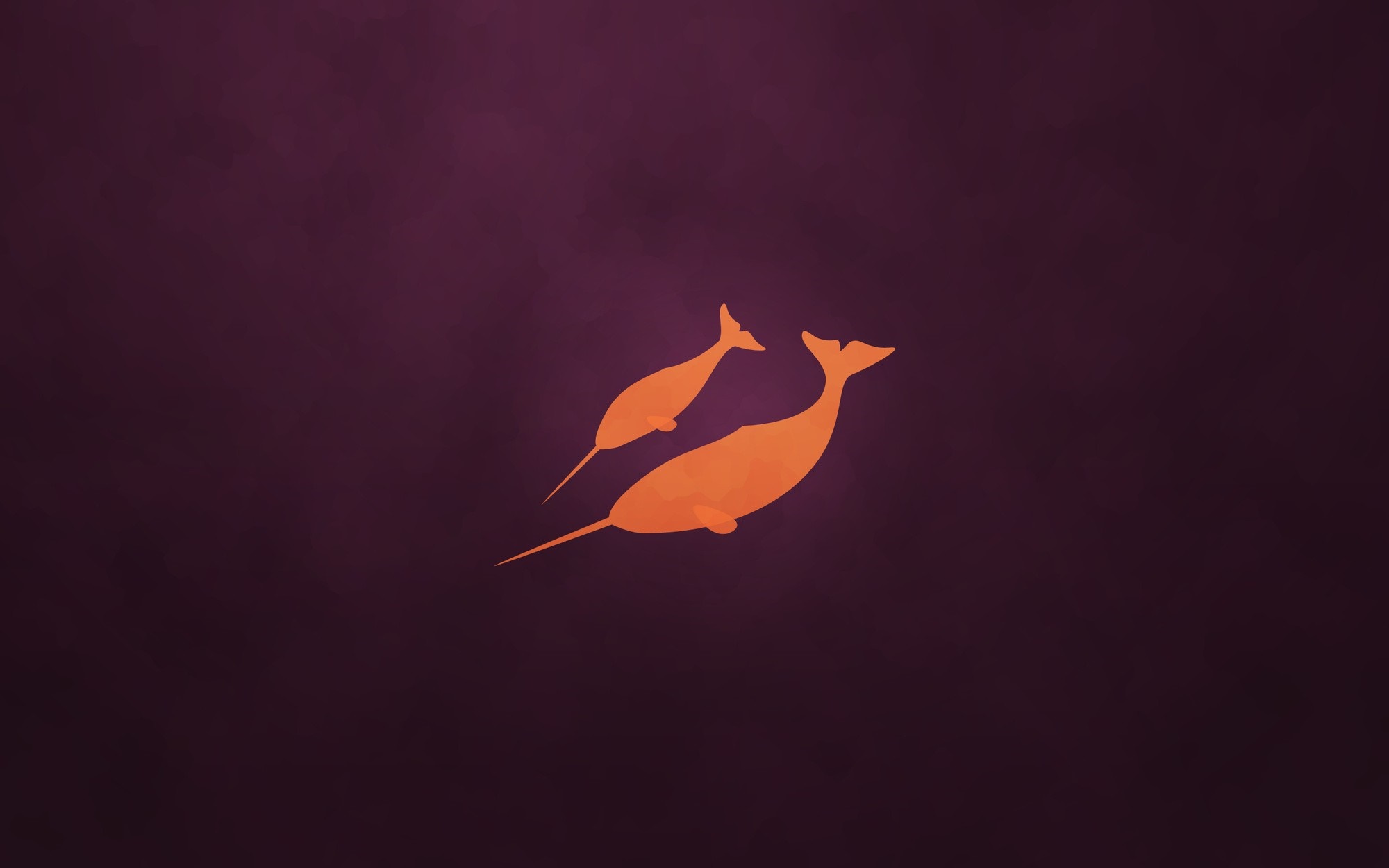 Two orange narwhals on a dark purple background HD Wallpaper