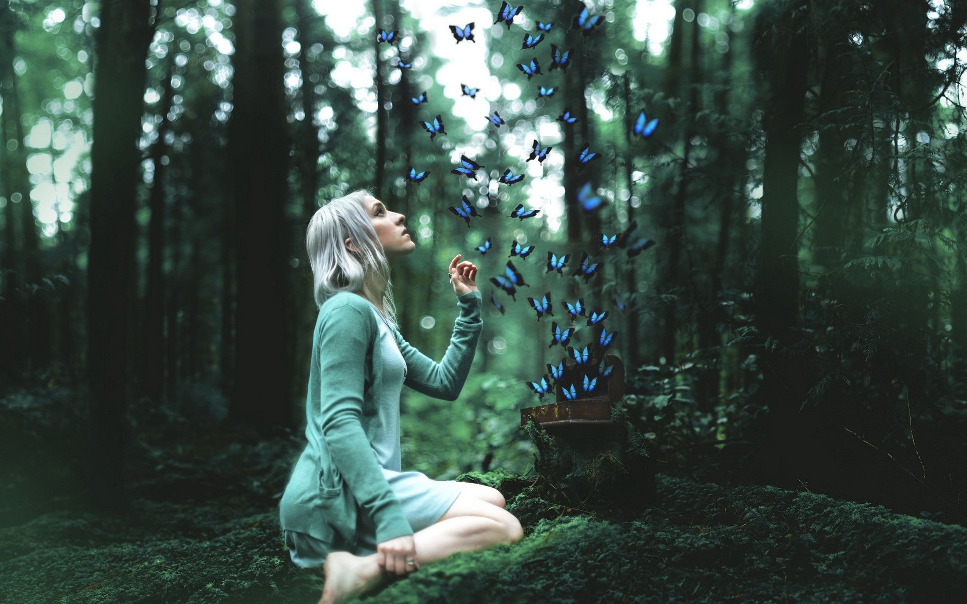 Woman in green dress releasing butterflies in a forest HD Wallpaper