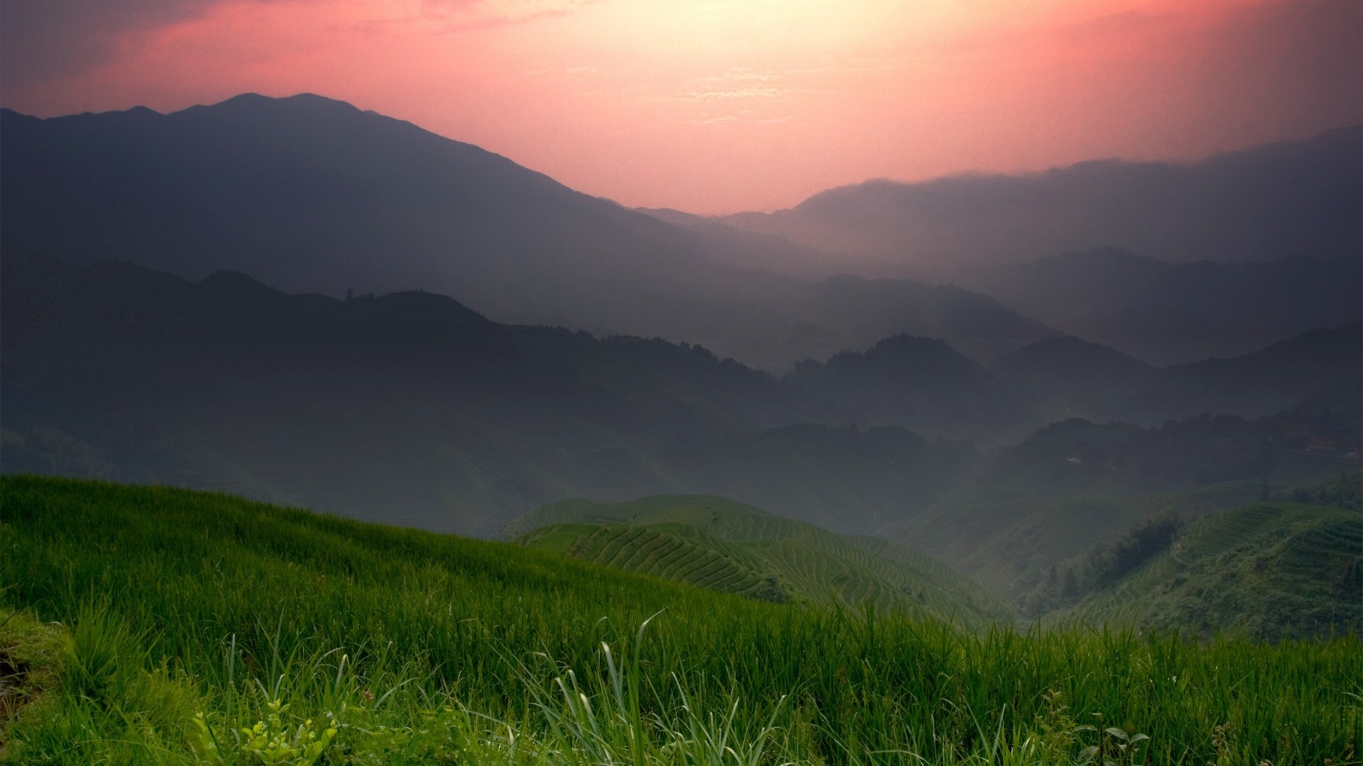 Misty mountains at sunrise with green fields HD Wallpaper