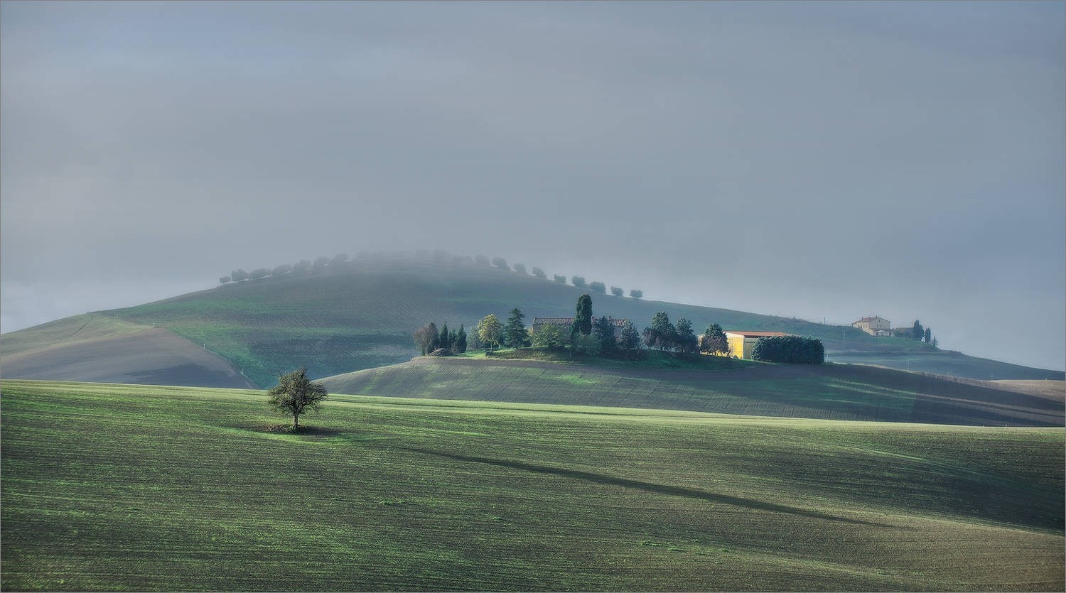 Misty rolling hills with a lone tree and farmhouses HD Wallpaper