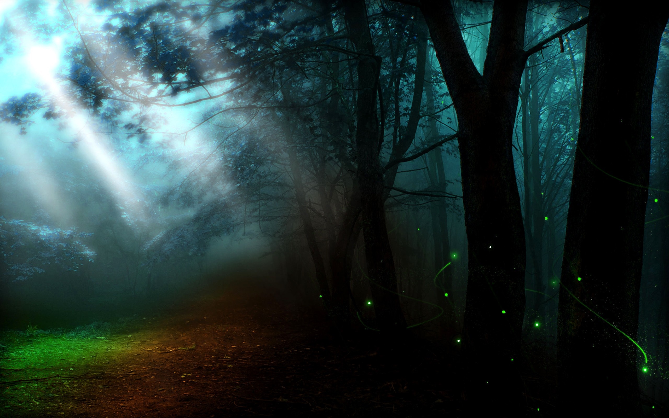 Mystical forest with light rays and fireflies HD Wallpaper