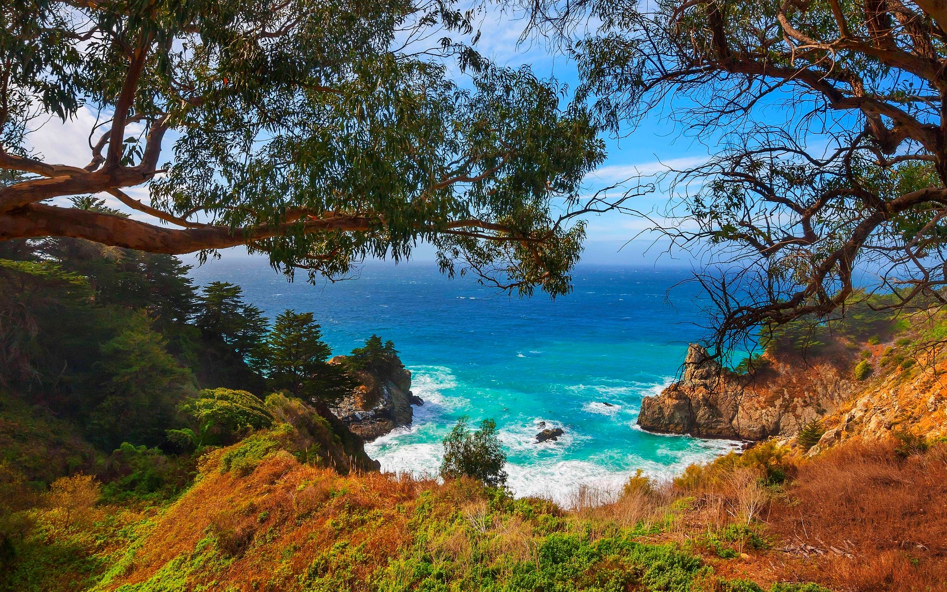 Ocean view with trees and cliffs HD Wallpaper