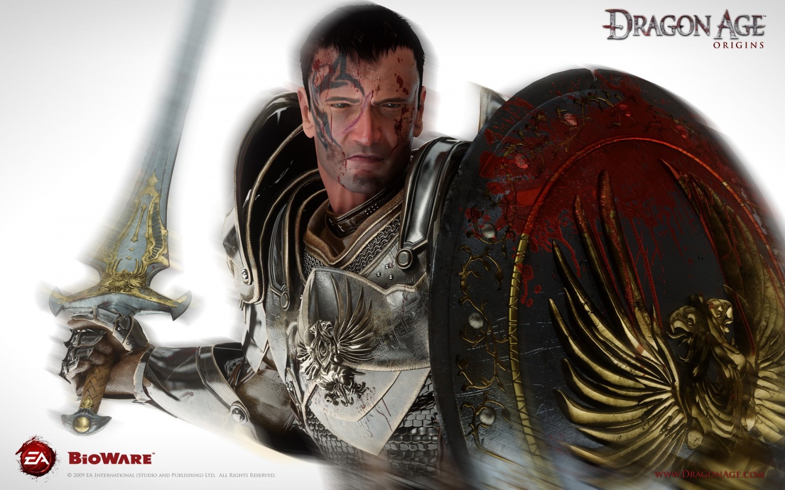 Grey Warden from Dragon Age: Origins HD Wallpaper