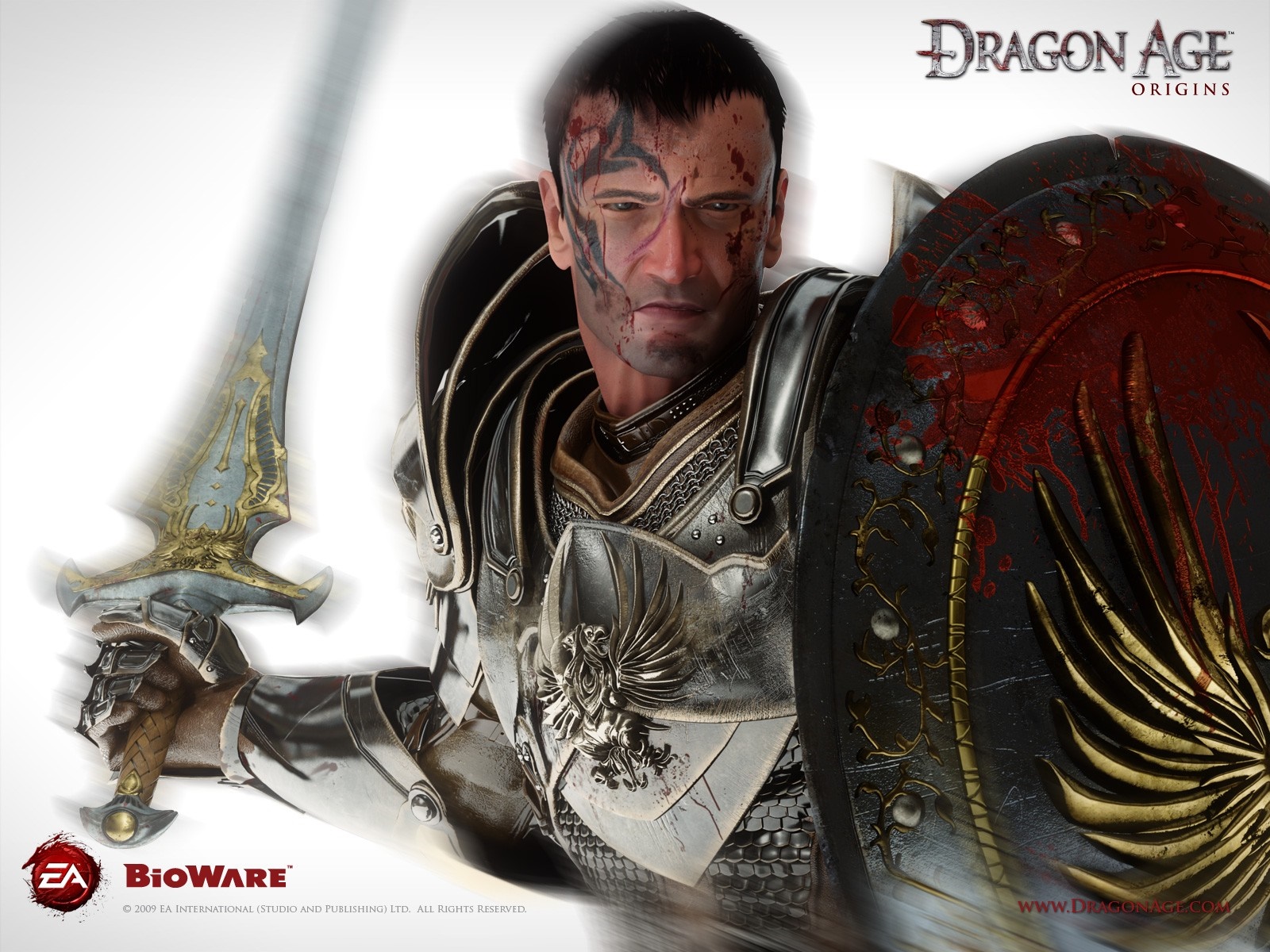 Grey Warden from Dragon Age Origins HD Wallpaper