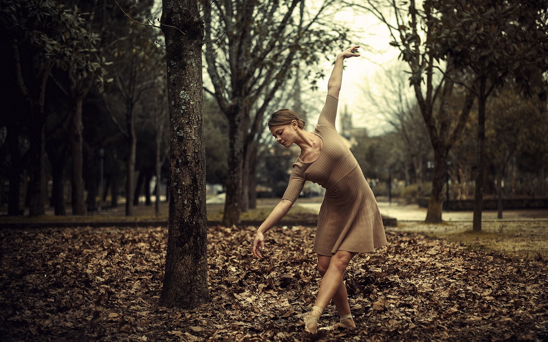 Ballerina dancing in a park during autumn HD Wallpaper