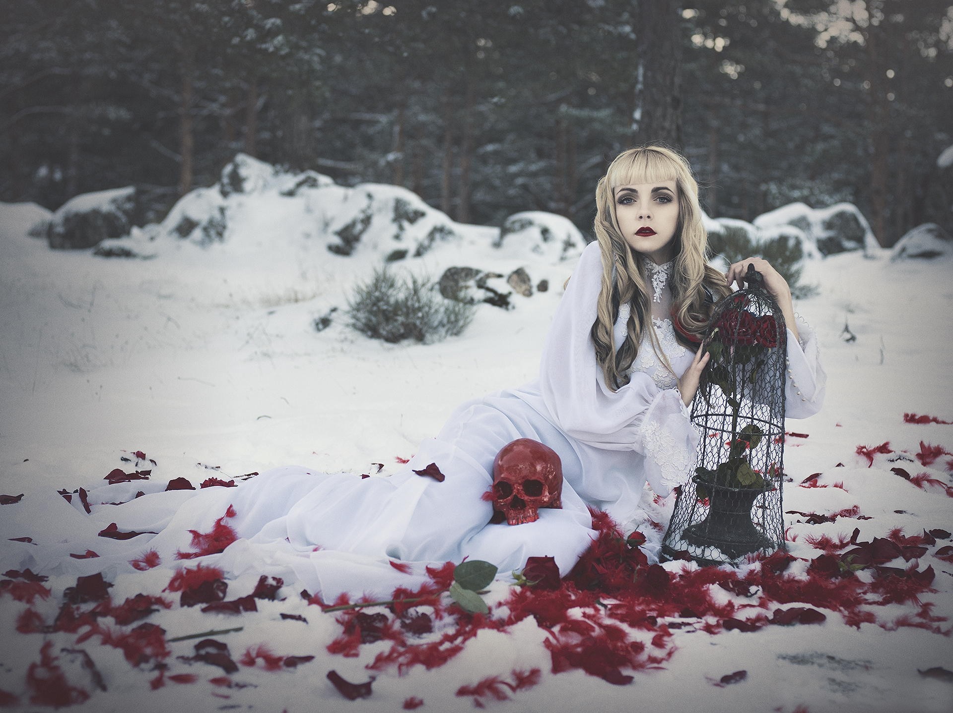 Woman in white dress with skull and birdcage in snow HD Wallpaper