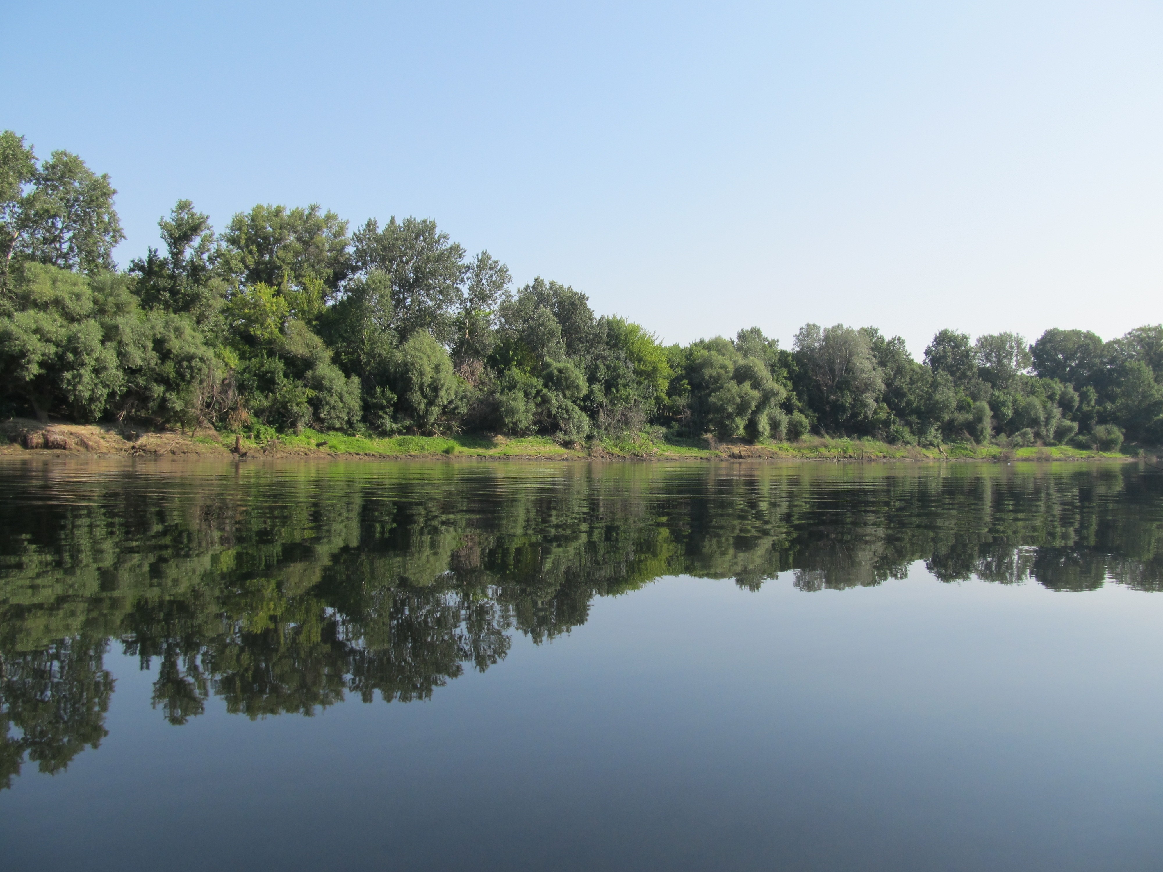 Riverbank with trees and reflection in the water HD Wallpaper