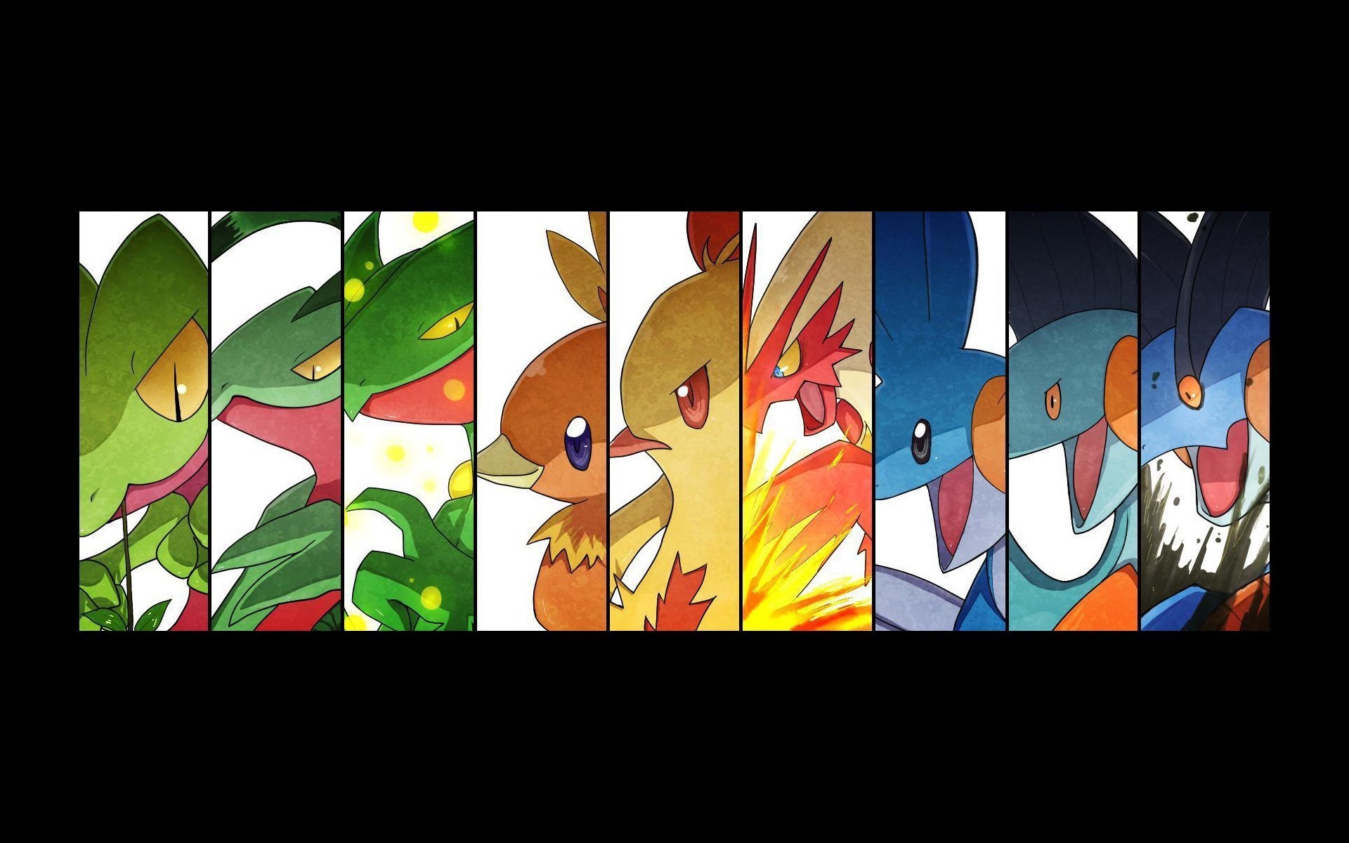 Pokemon Starters from Hoenn Region HD Wallpaper