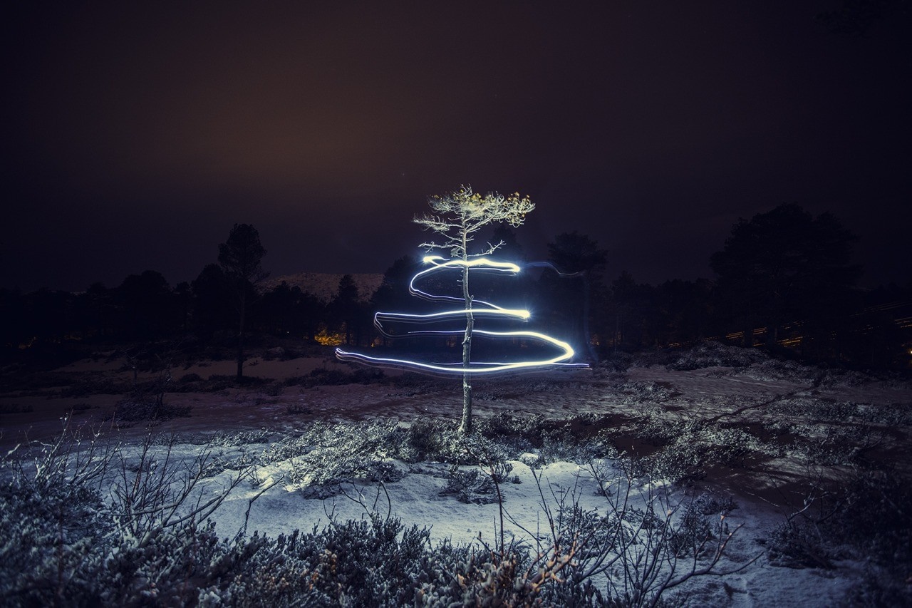Light painting around a tree at night in the snow HD Wallpaper