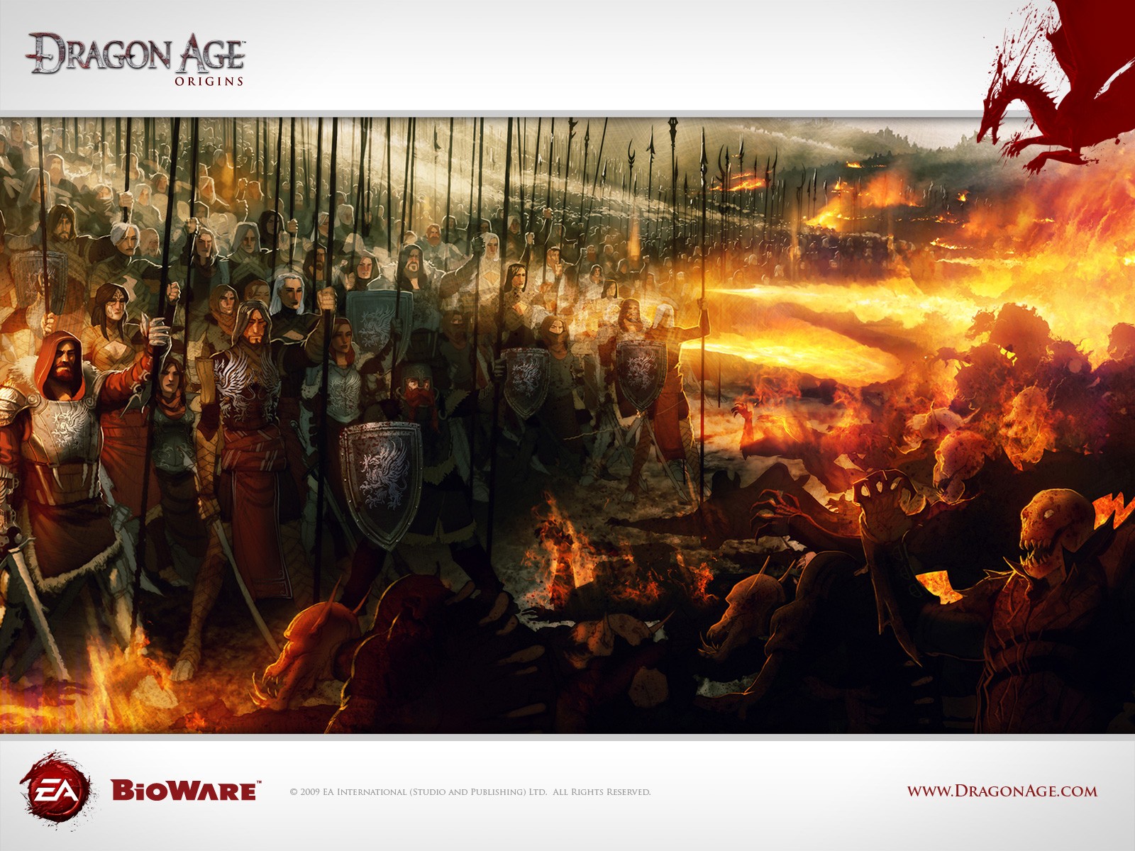 Dragon Age Origins battle scene with dragon HD Wallpaper
