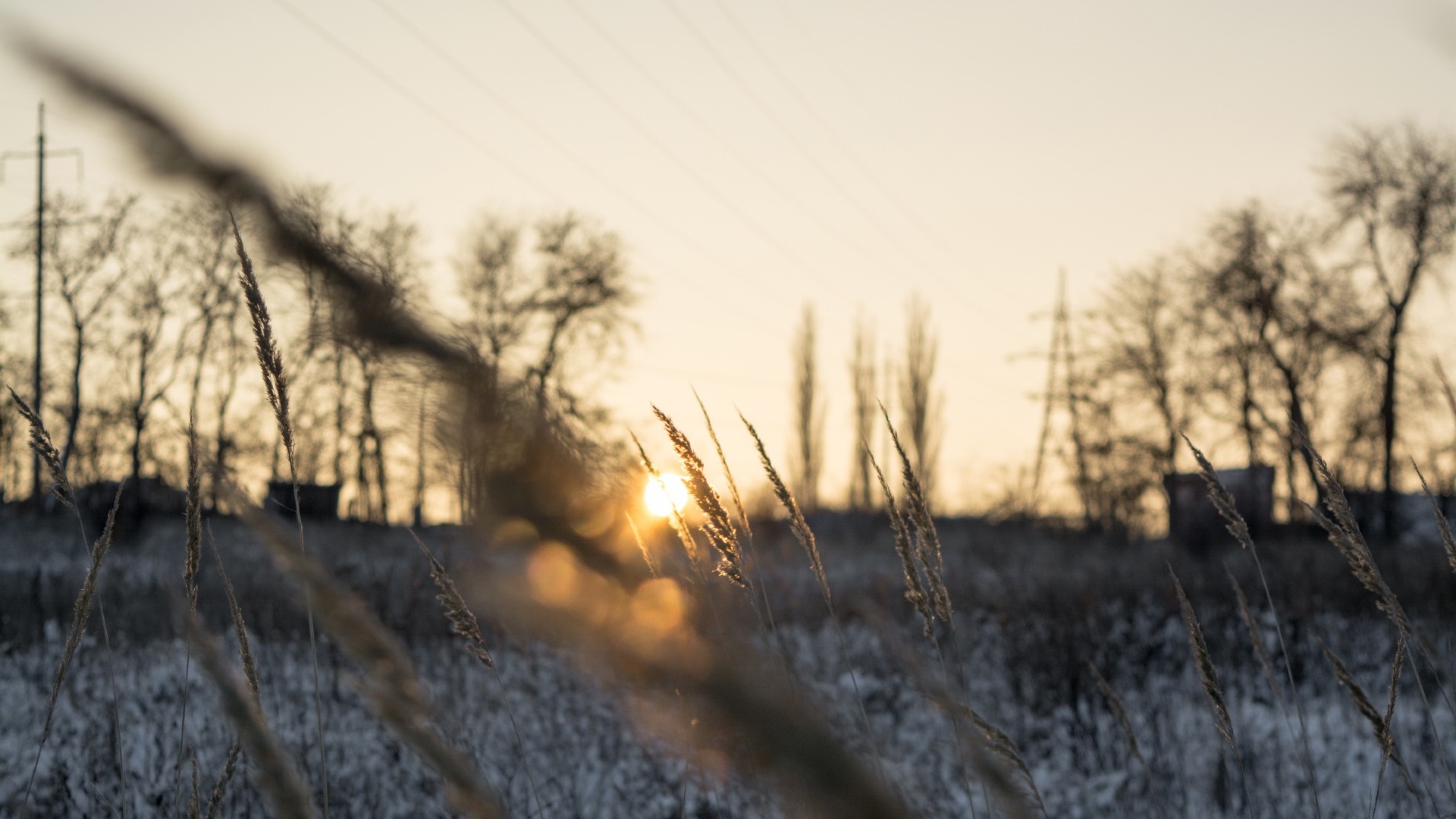 Winter sunset over a snowy field with dry grass HD Wallpaper
