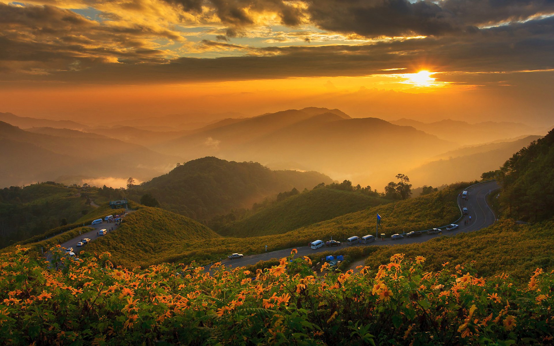 Mountain road with flowers and sunset HD Wallpaper