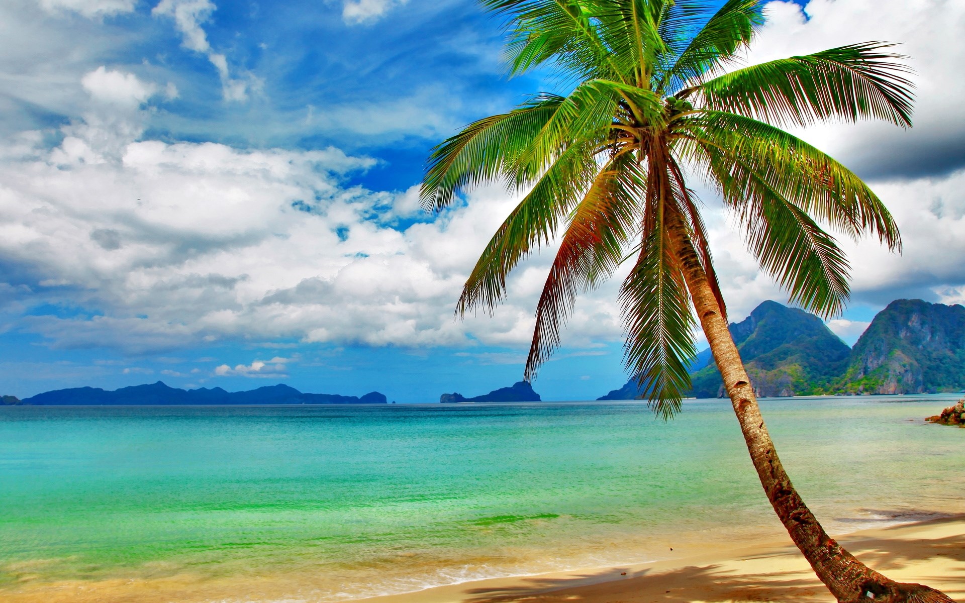 Palm tree on a tropical beach with turquoise water and mountains HD Wallpaper
