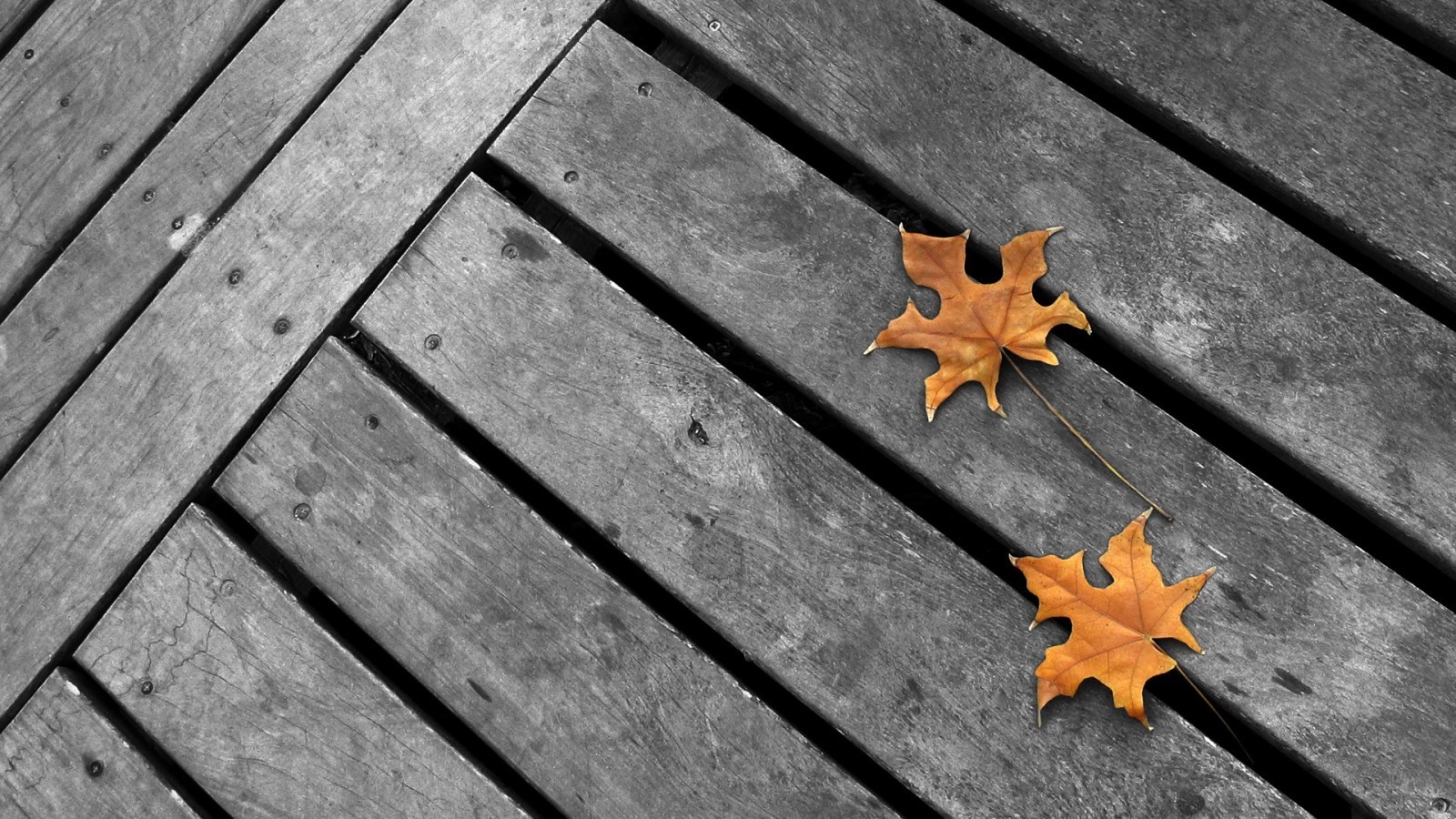 Two autumn leaves on a wooden surface HD Wallpaper